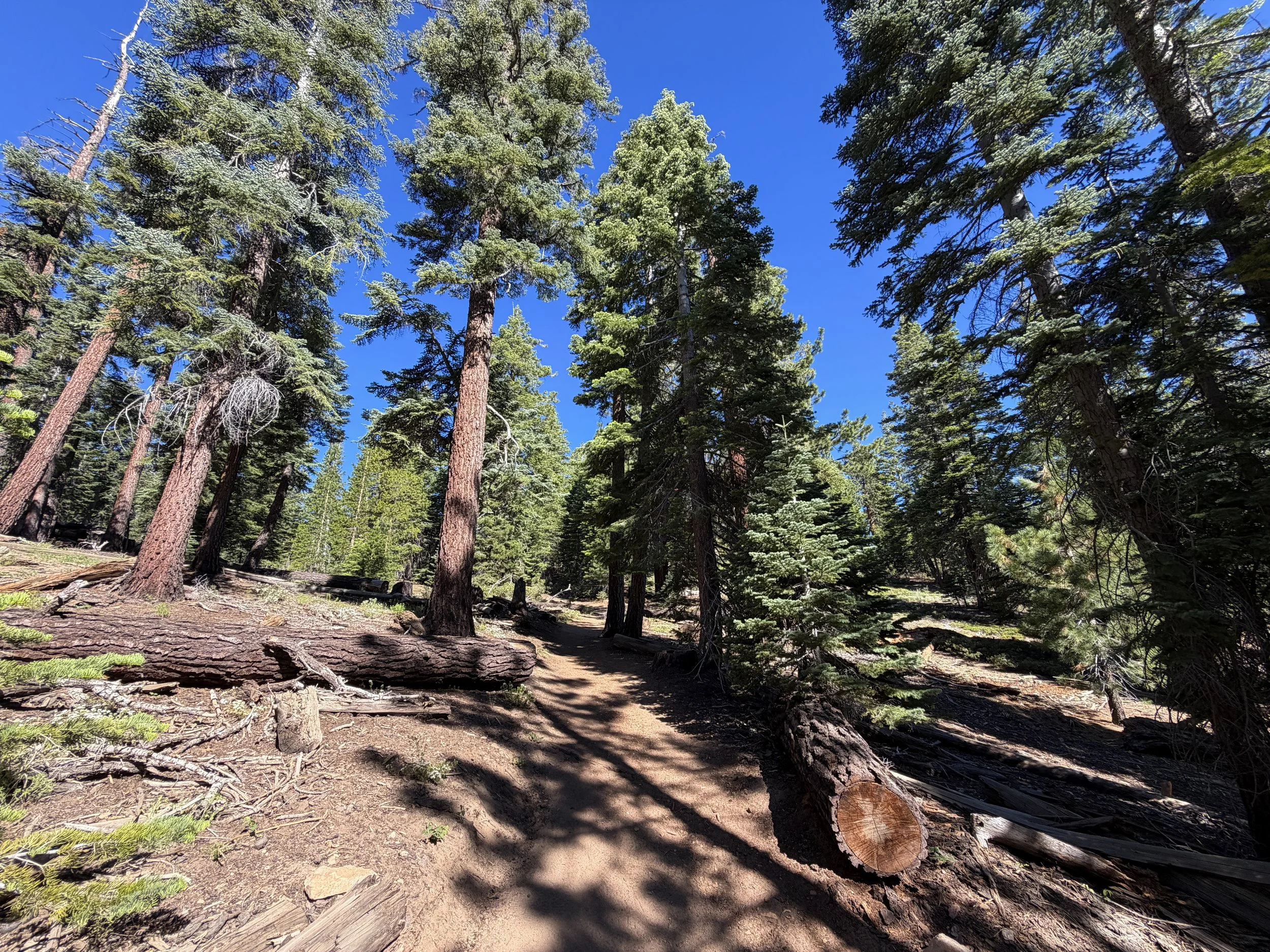 Castle Rock Hike Lake Tahoe Nevada
