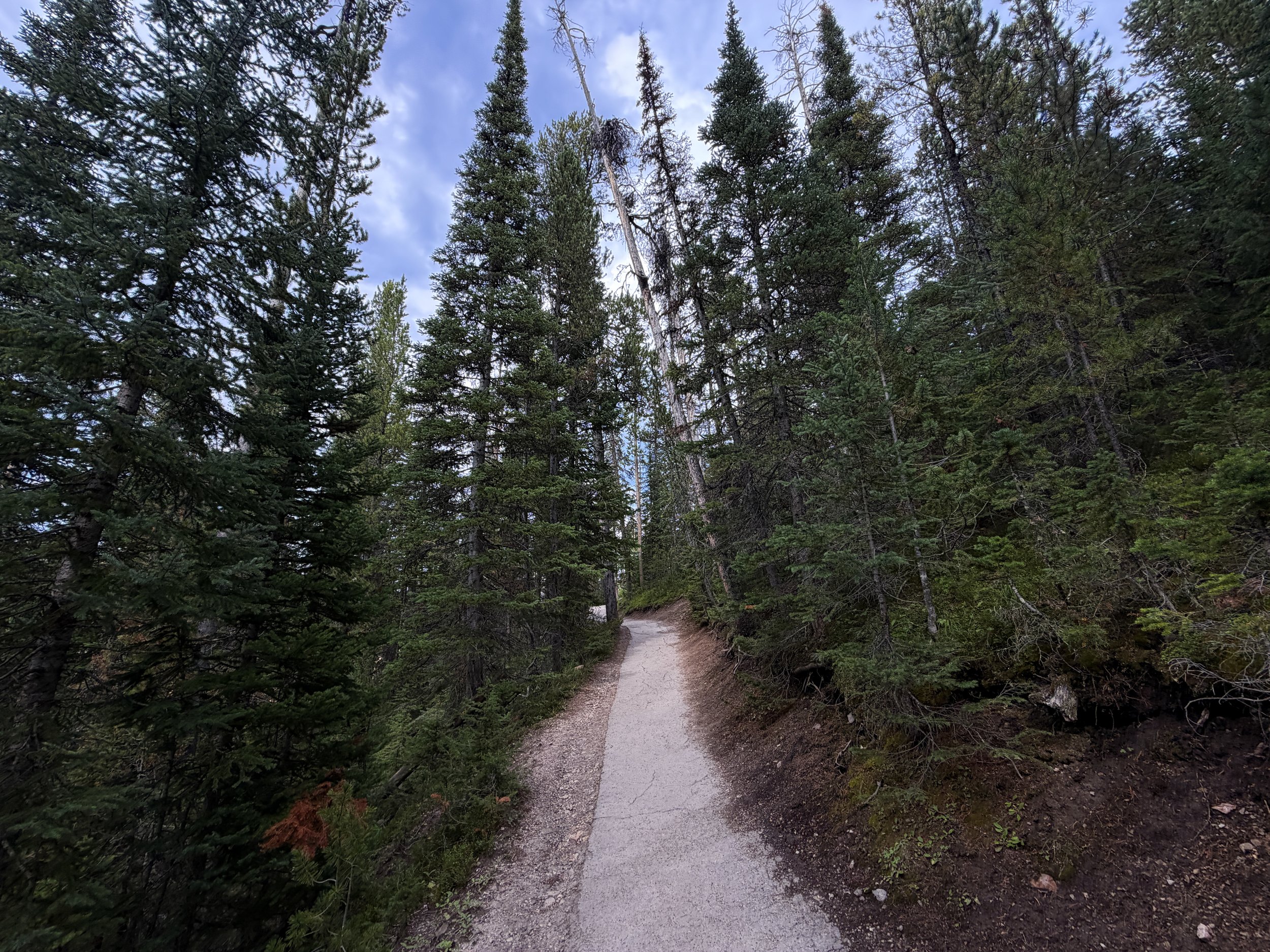 South Rim Trail Yellowstone National Park Wyoming