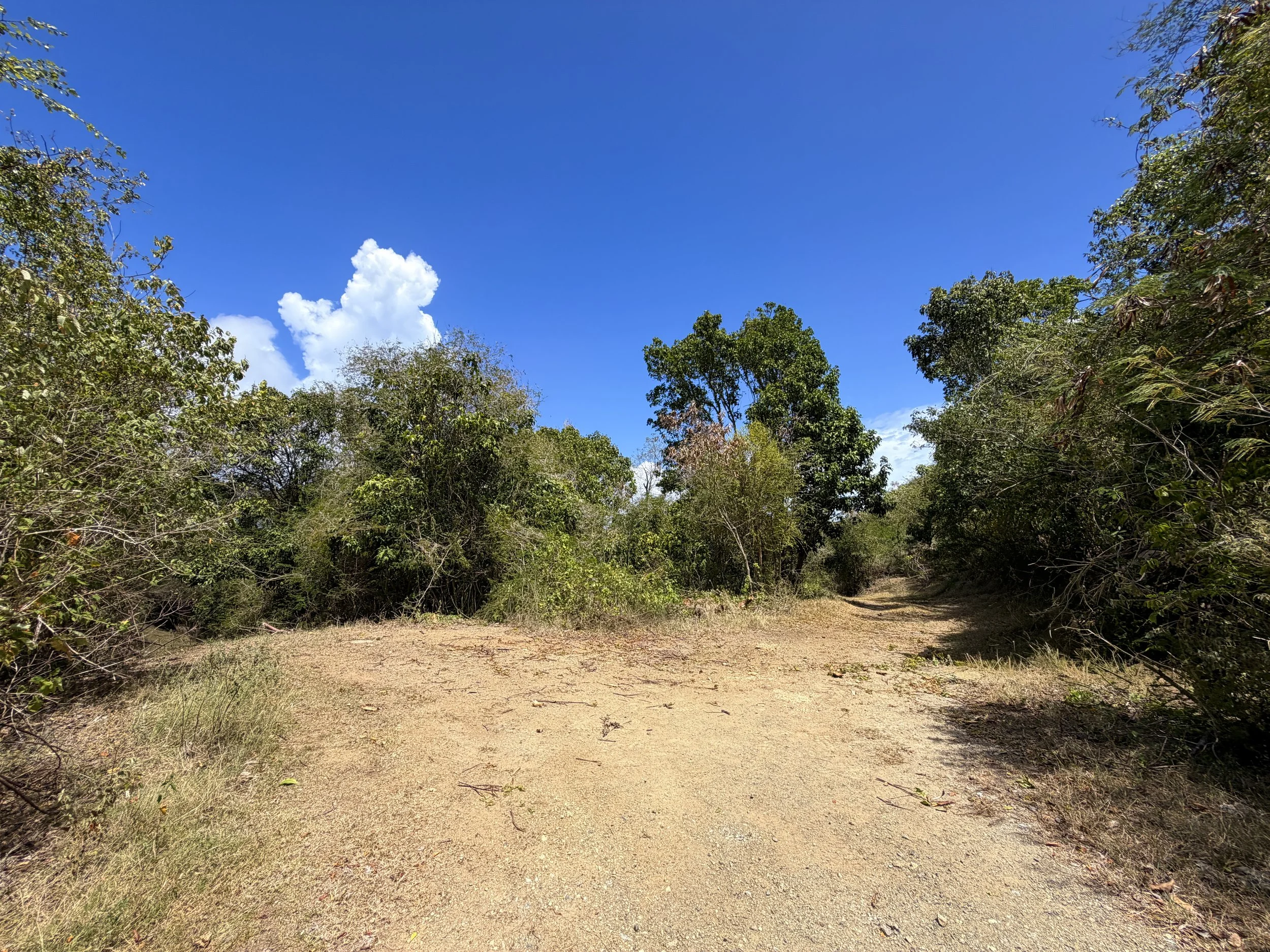 Johnny Horn Trail Virgin Islands National Park