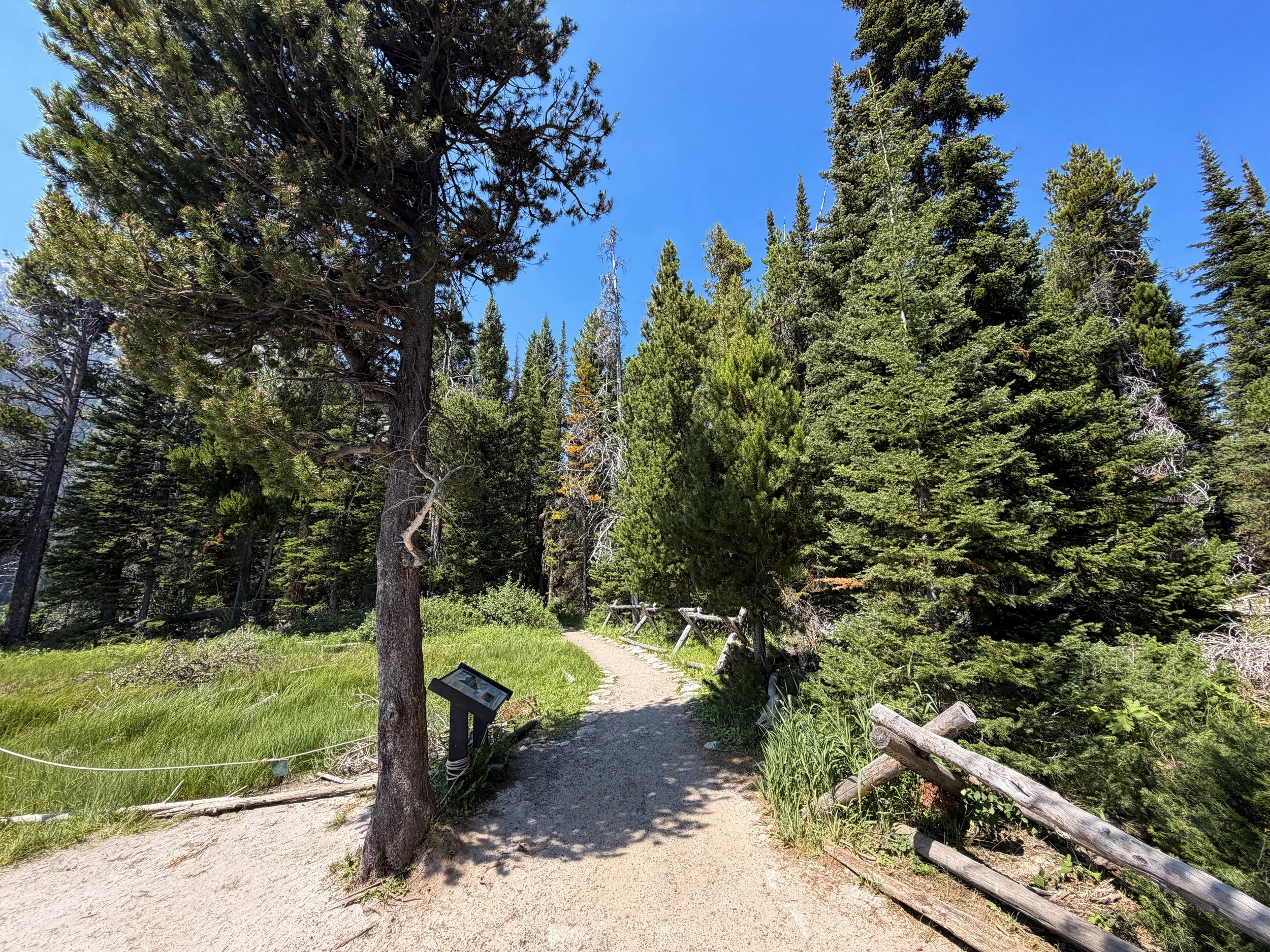 String Lake Loop Trail Grand Teton National Park Wyoming