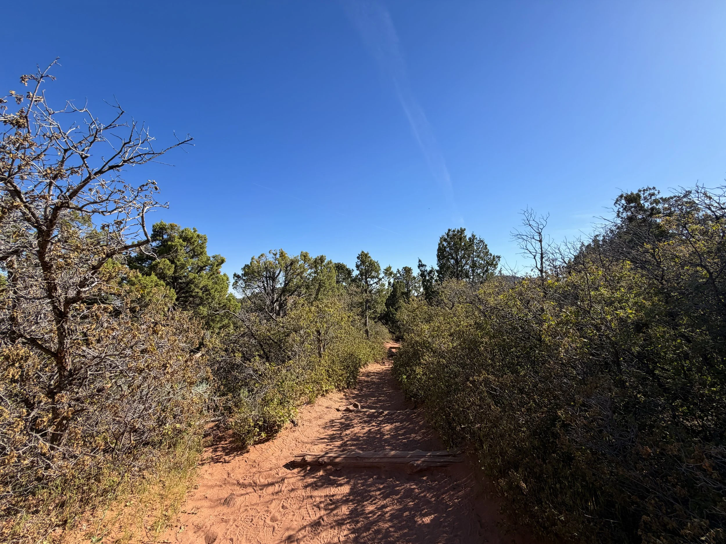 Timber Creek Overlook Trail Zion National Park Utah