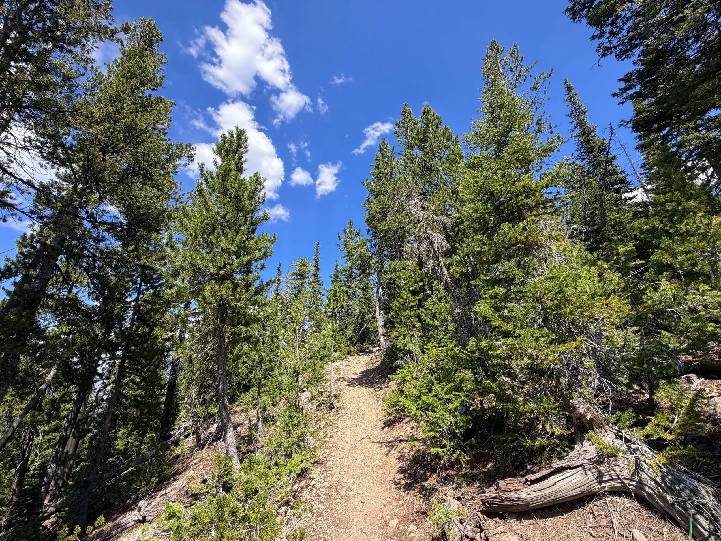Bunsen Peak Trail Yellowstone National Park Wyoming