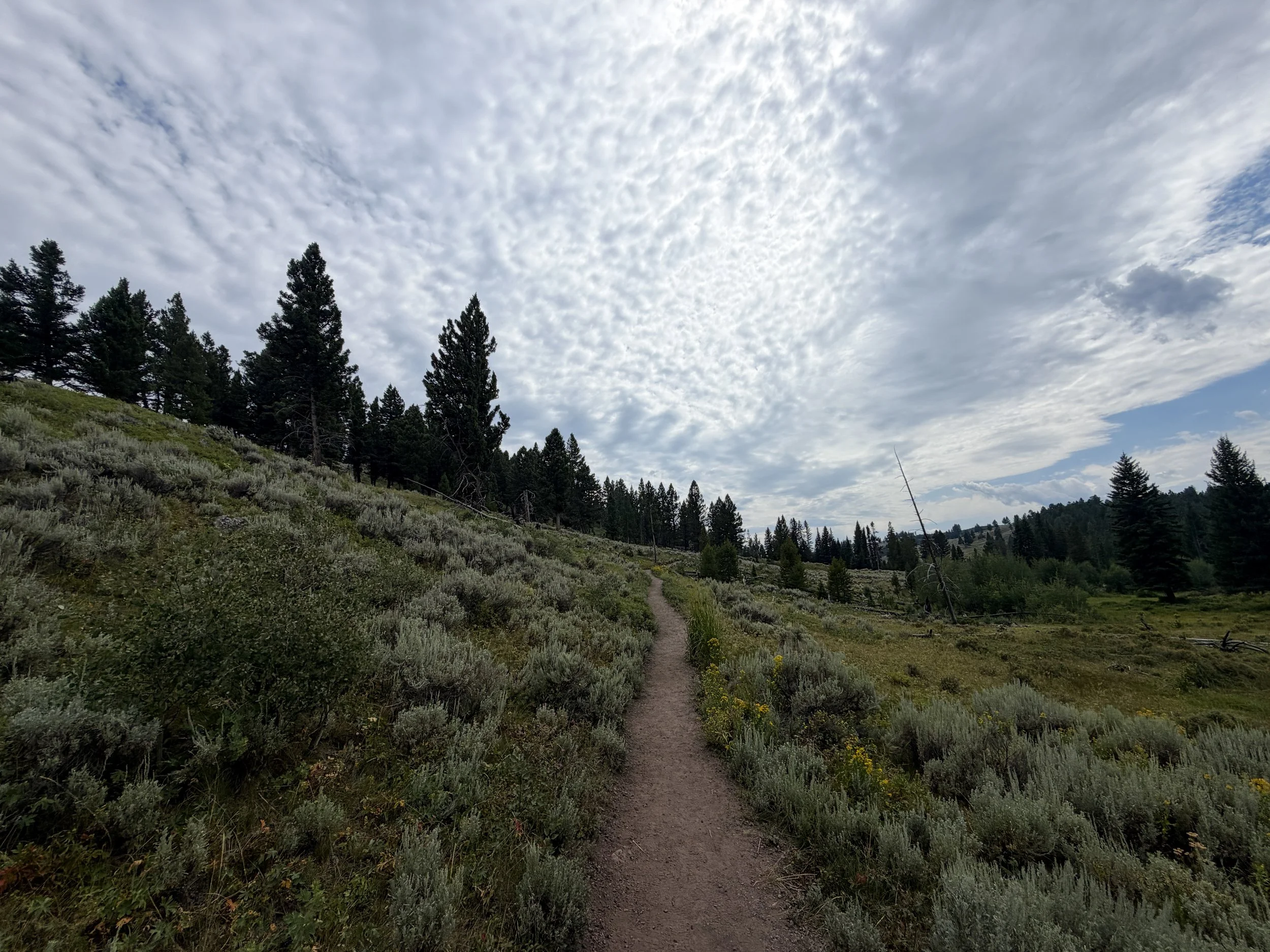 Wraith Falls Trail Yellowstone National Park Wyoming
