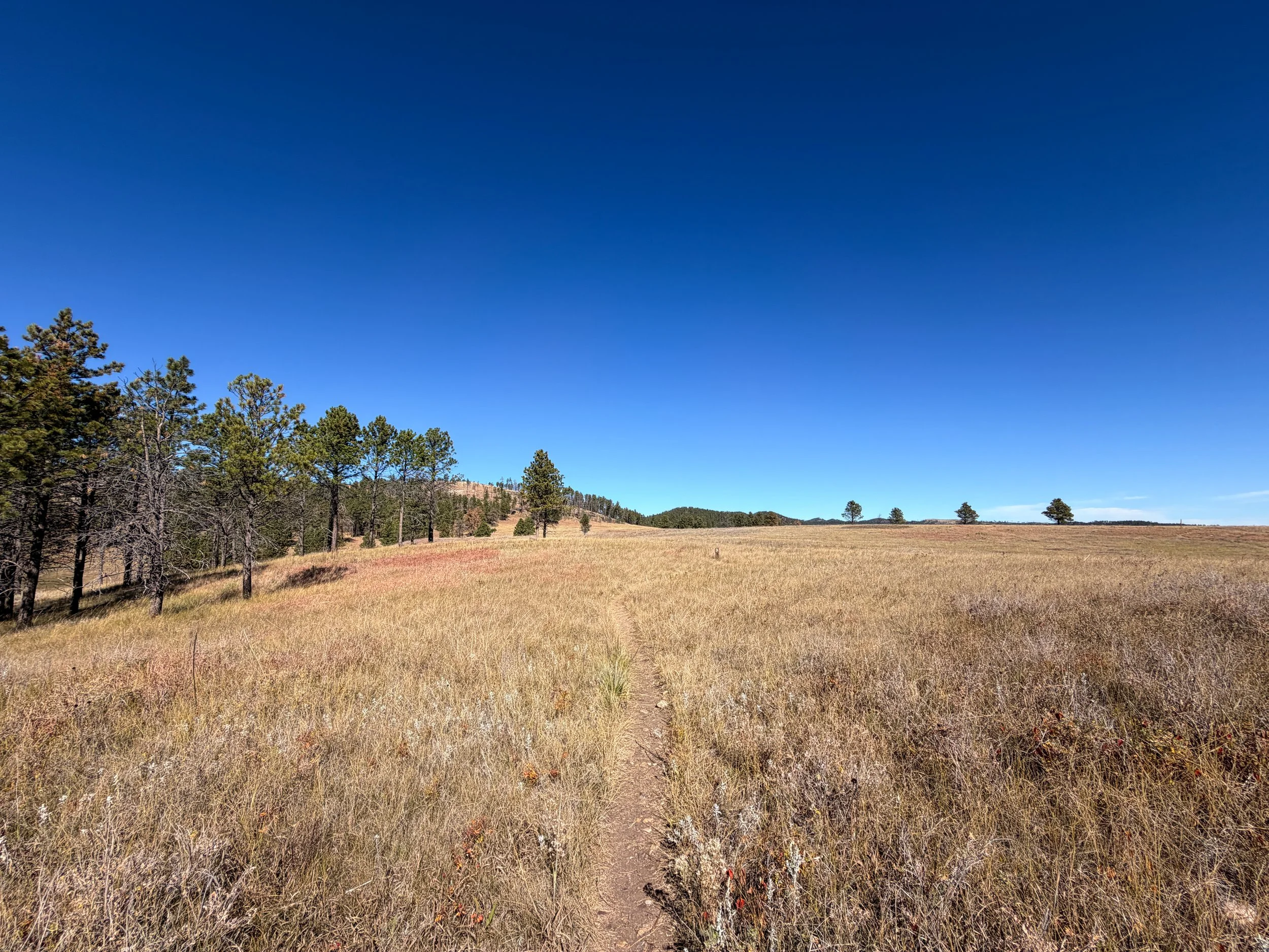 Elk Mountain Trail Wind Cave National Park South Dakota