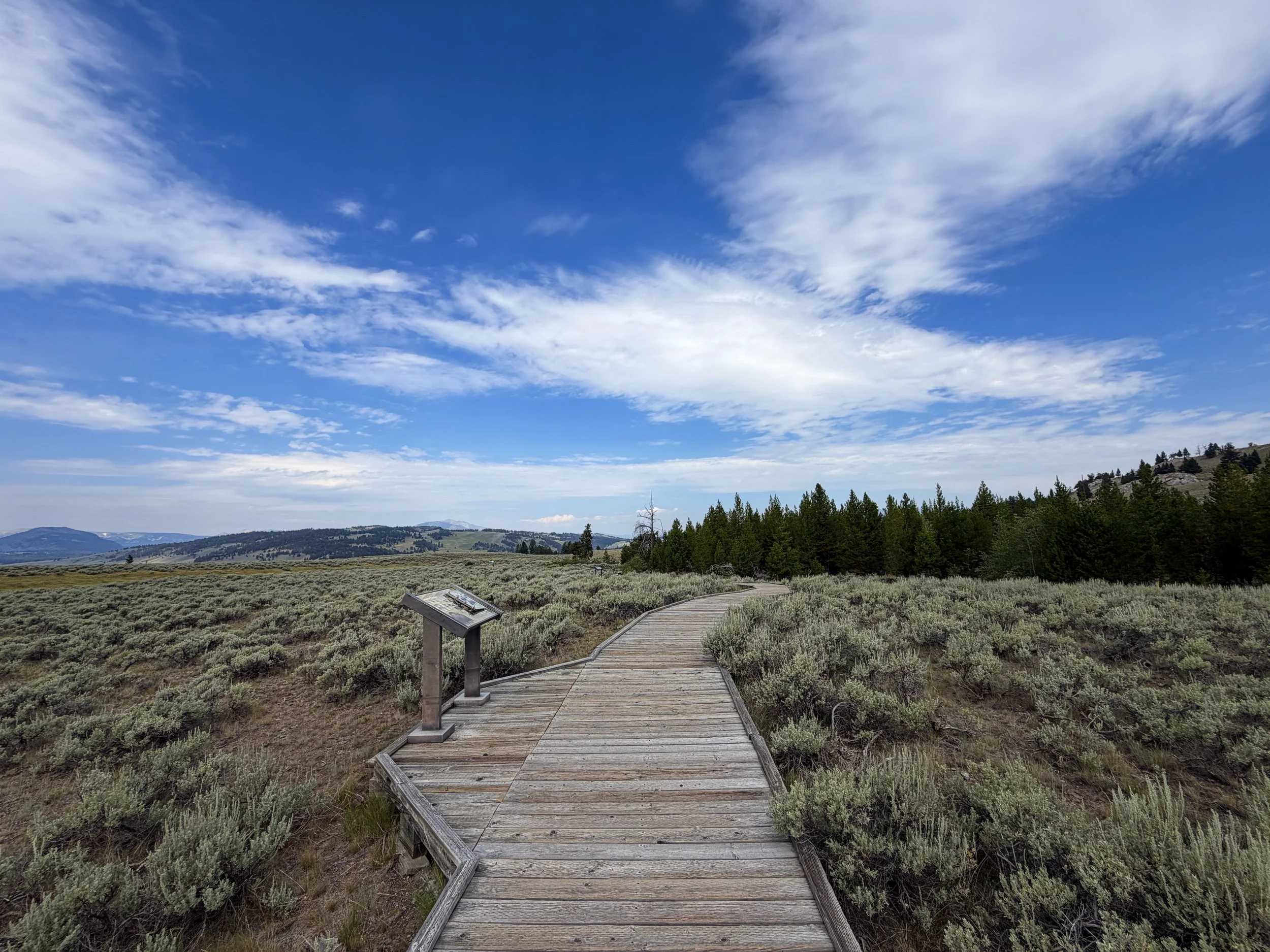 Forces of the Northern Range Trail Yellowstone National Park Wyoming