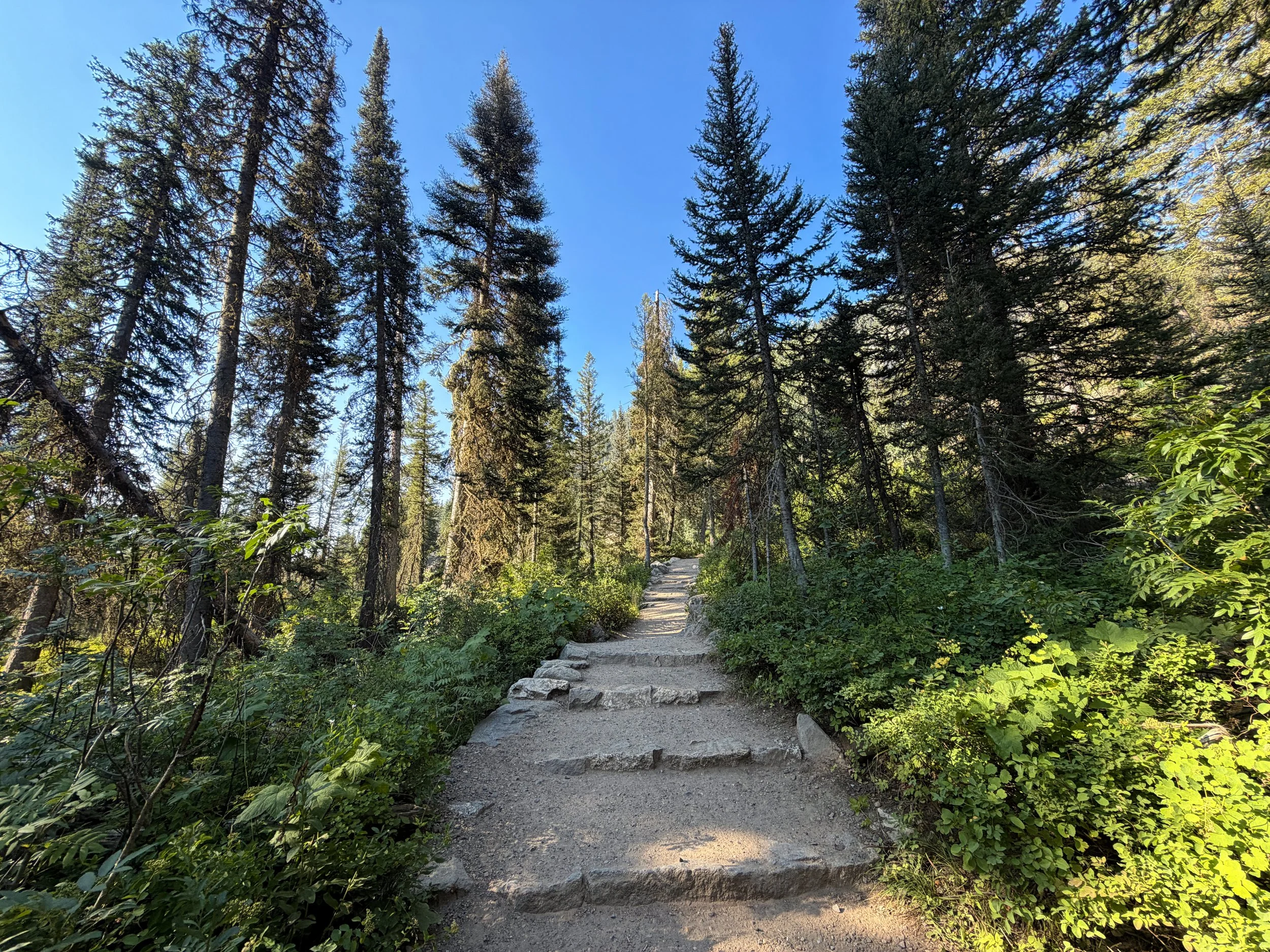 Hidden Falls Trail Grand Teton National Park Wyoming