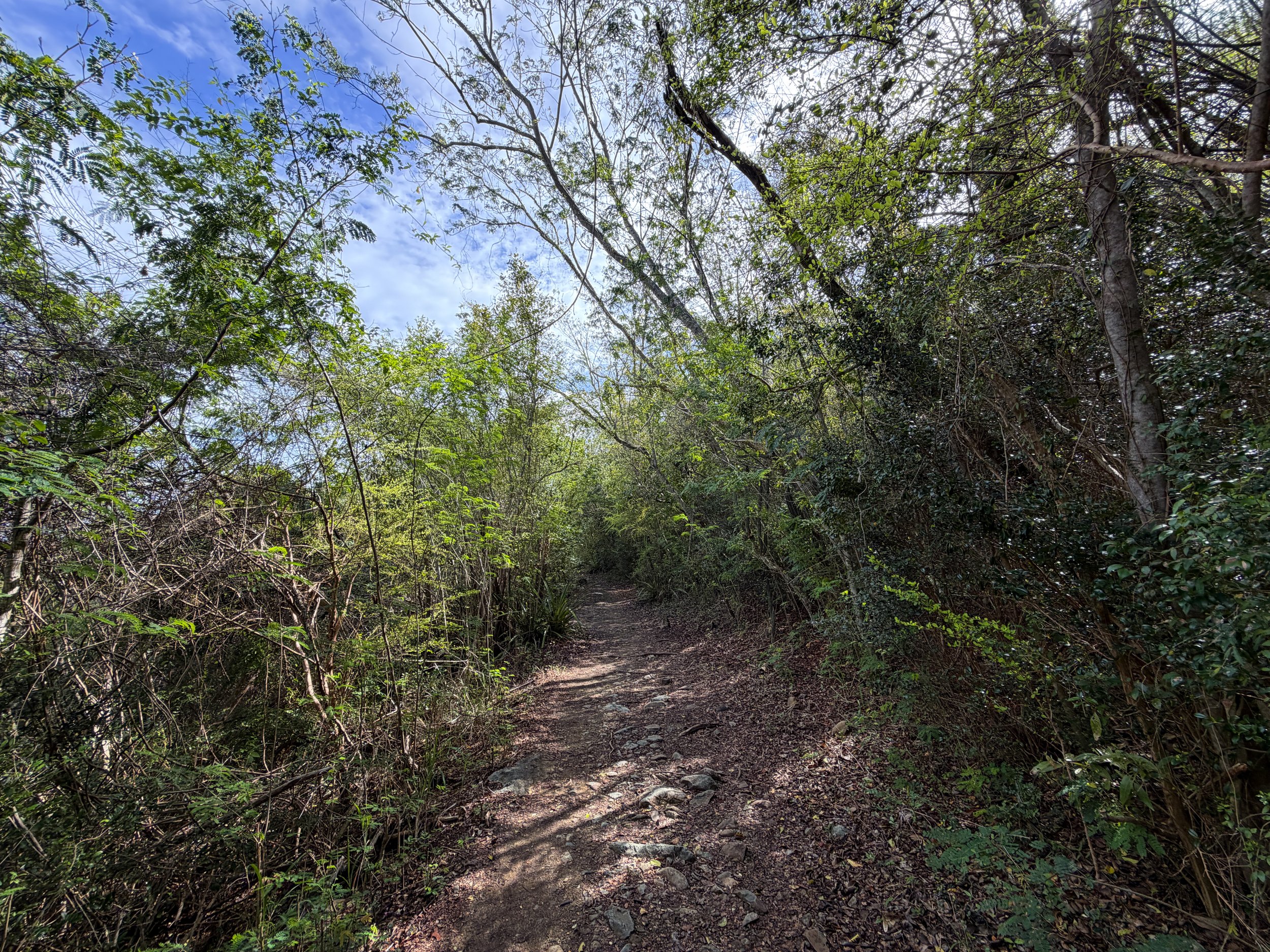 Lind Point Loop Trail Virgin Islands National Park