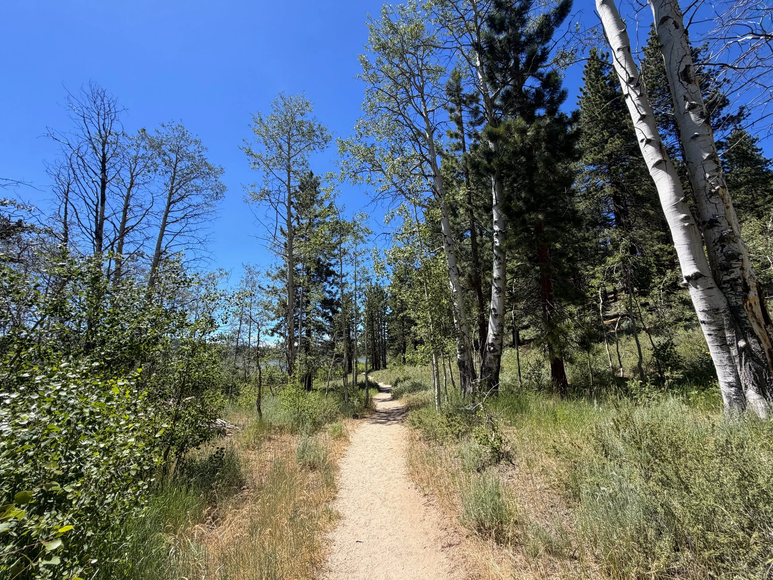 Spooner Lake Loop Hike Lake Tahoe Nevada
