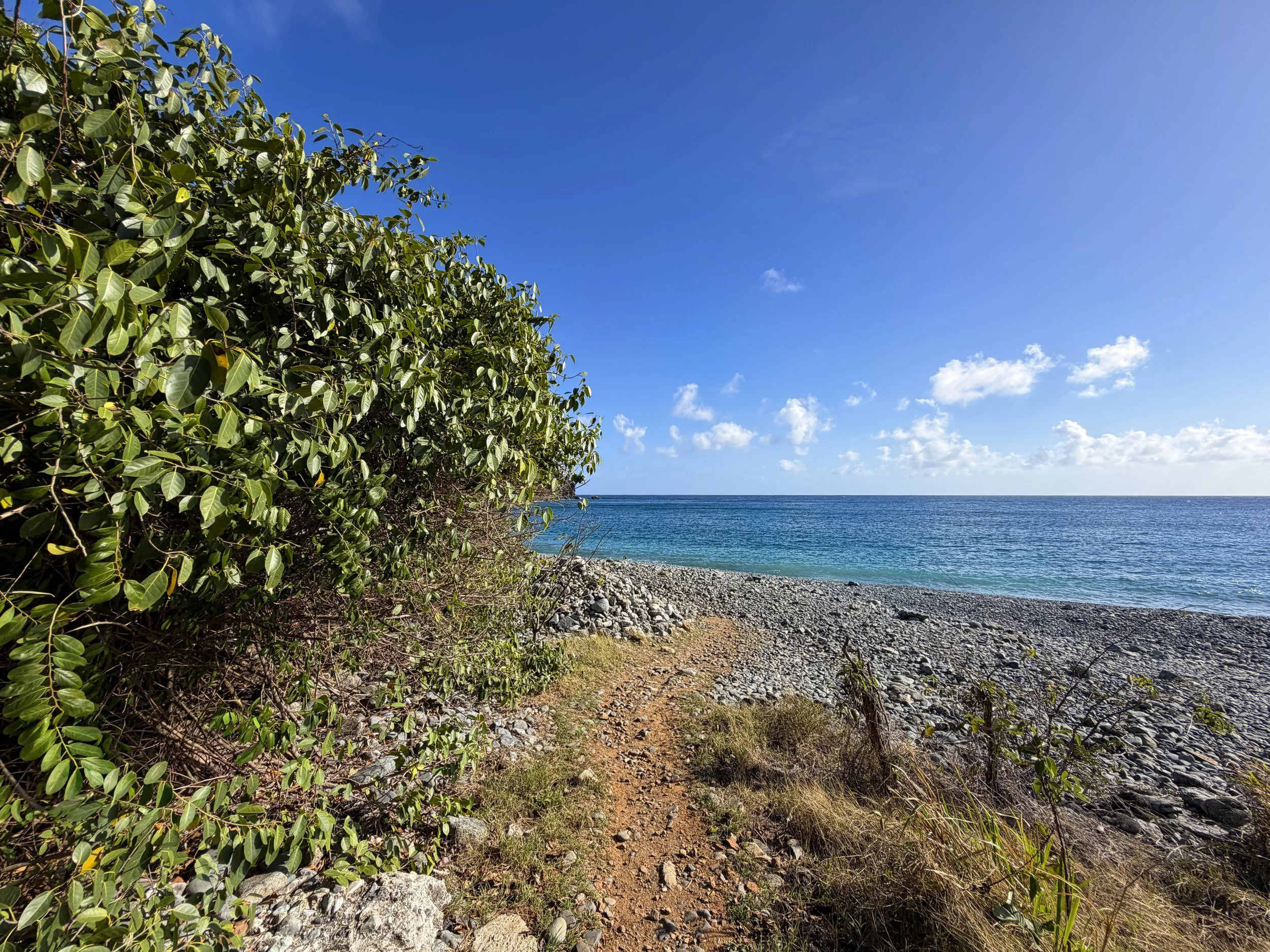 Ram Head Trail Virgin Islands National Park