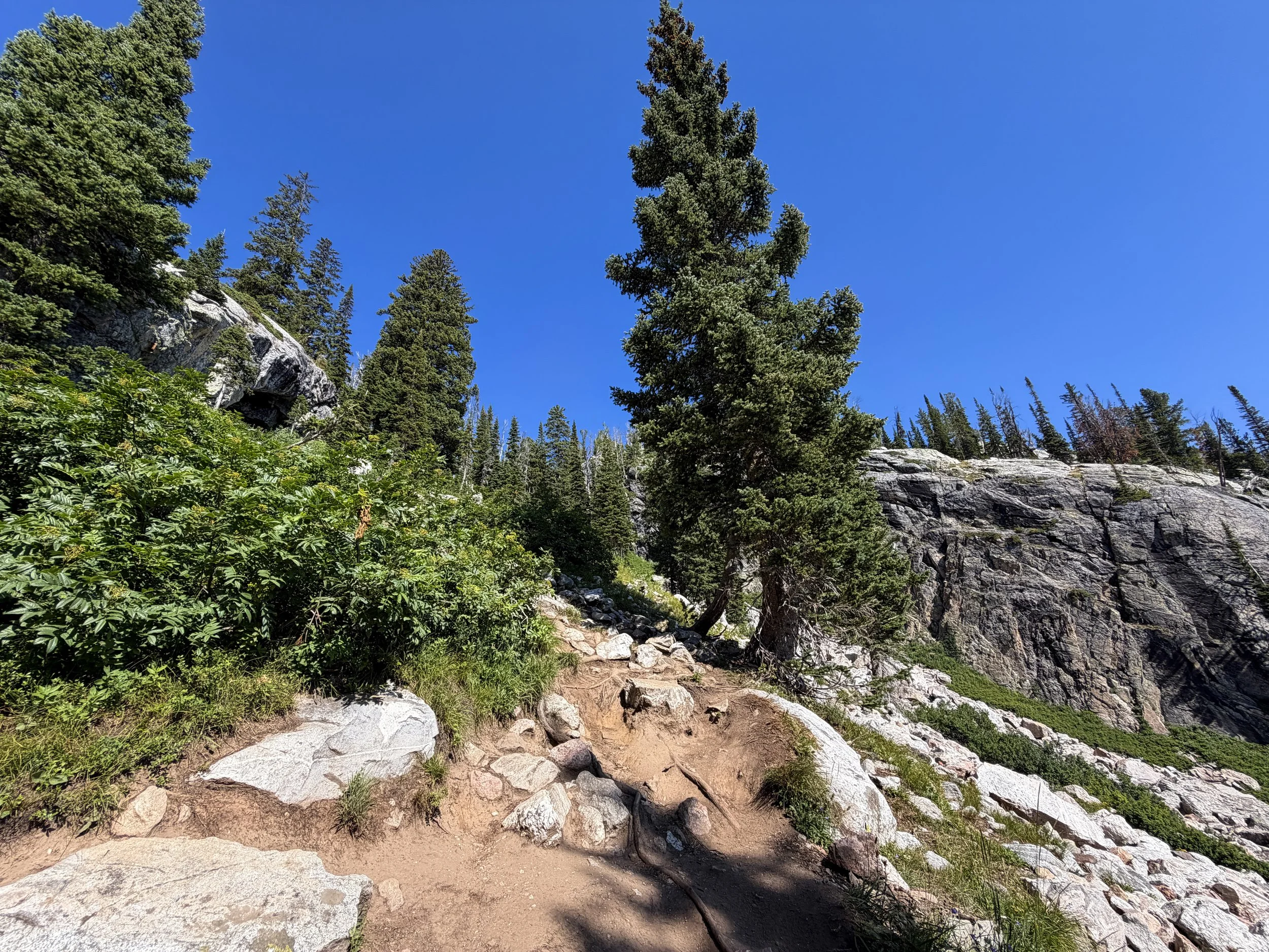 Delta Lake Trail Scramble Grand Teton National Park Wyoming