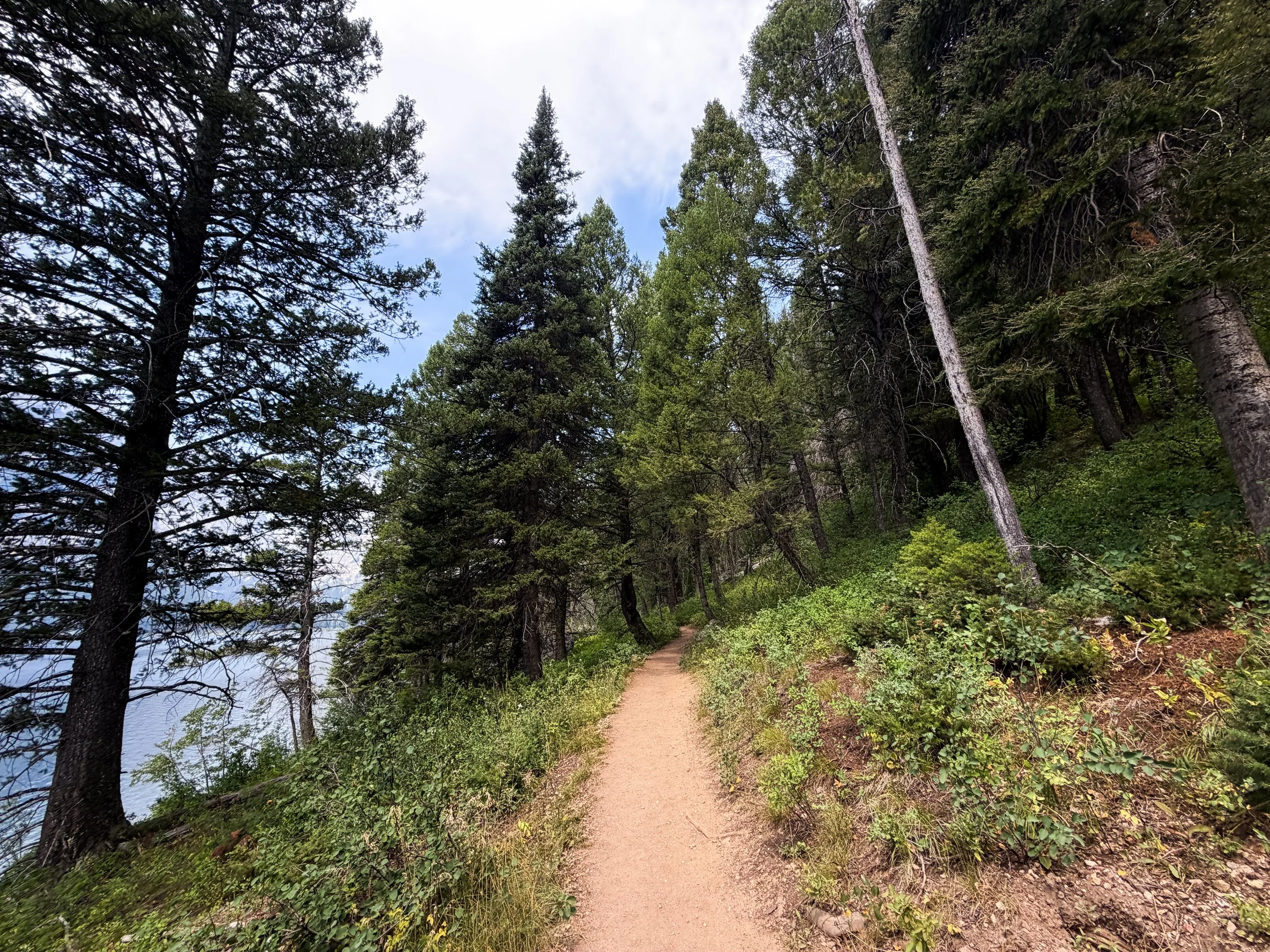 Phelps Lake Trail to Jumping Rock Grand Teton National Park Wyoming
