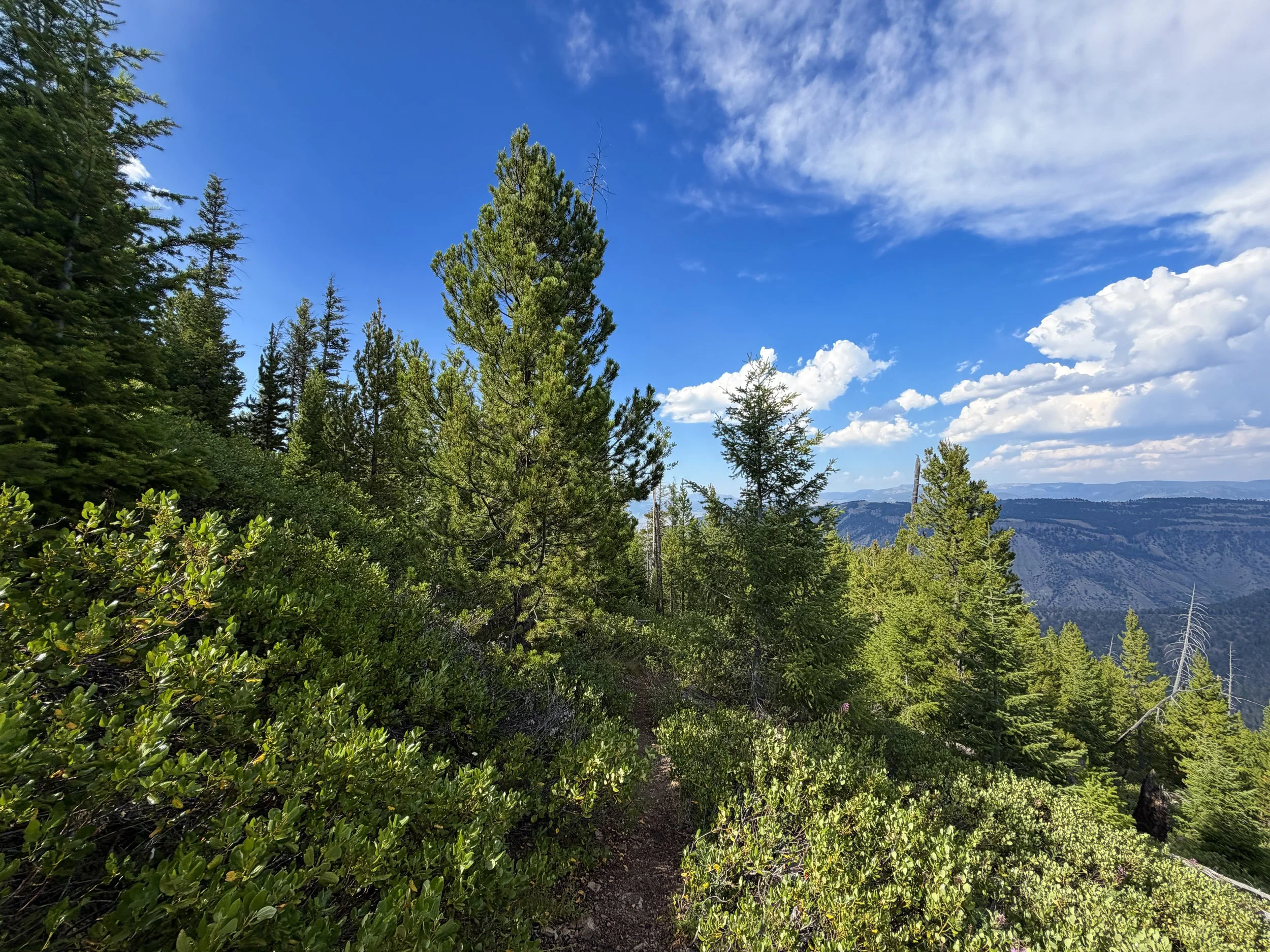 Bunsen Peak Hike Yellowstone National Park Wyoming