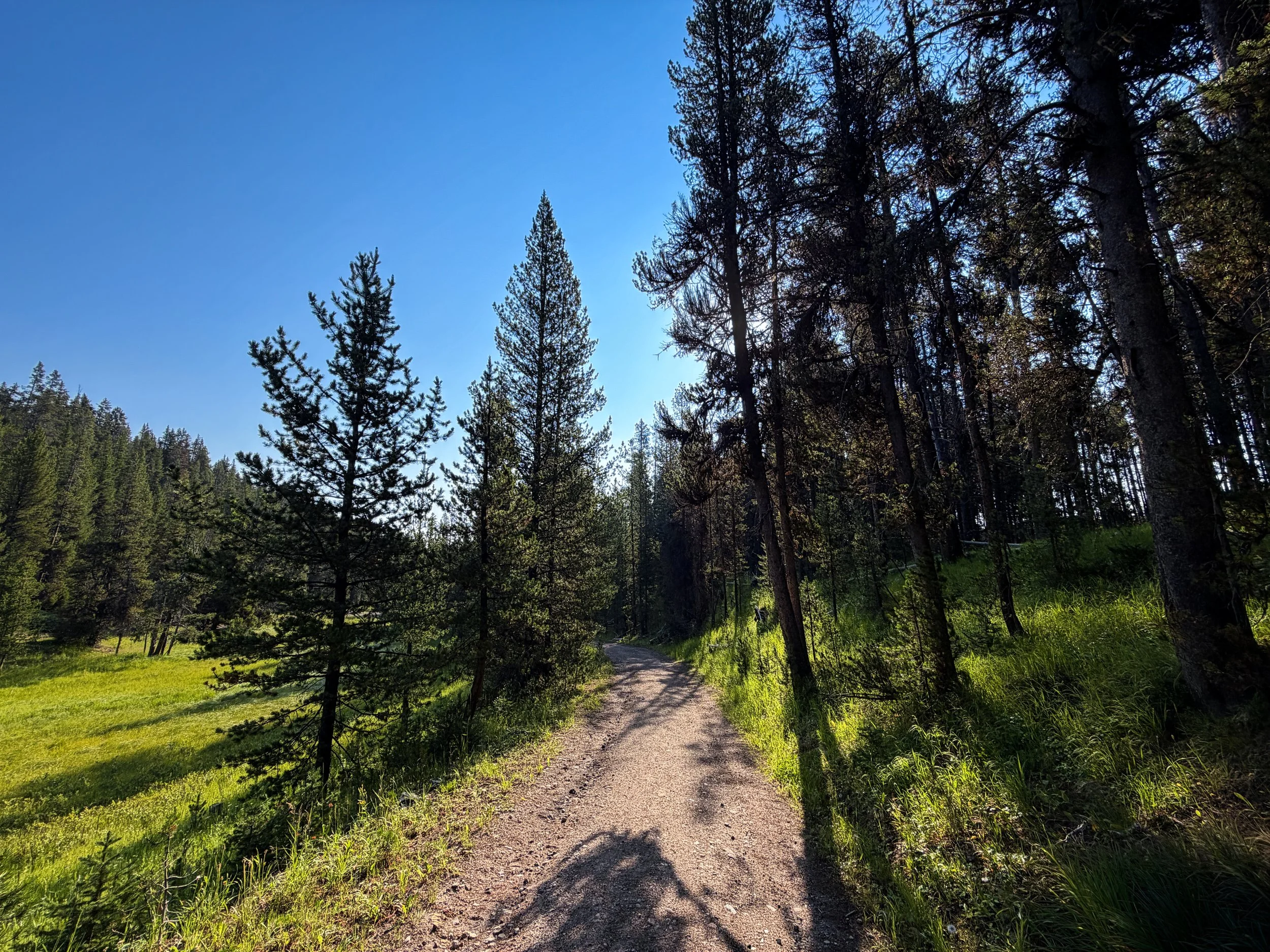 Natural Bridge Trail Yellowstone National Park Wyoming