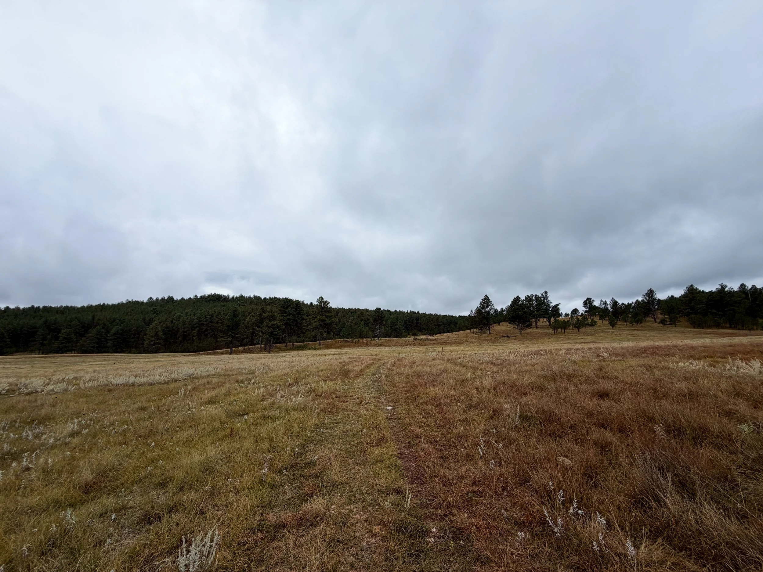 Highland Creek to Wind Cave Canyon Trail Wind Cave National Park South Dakota