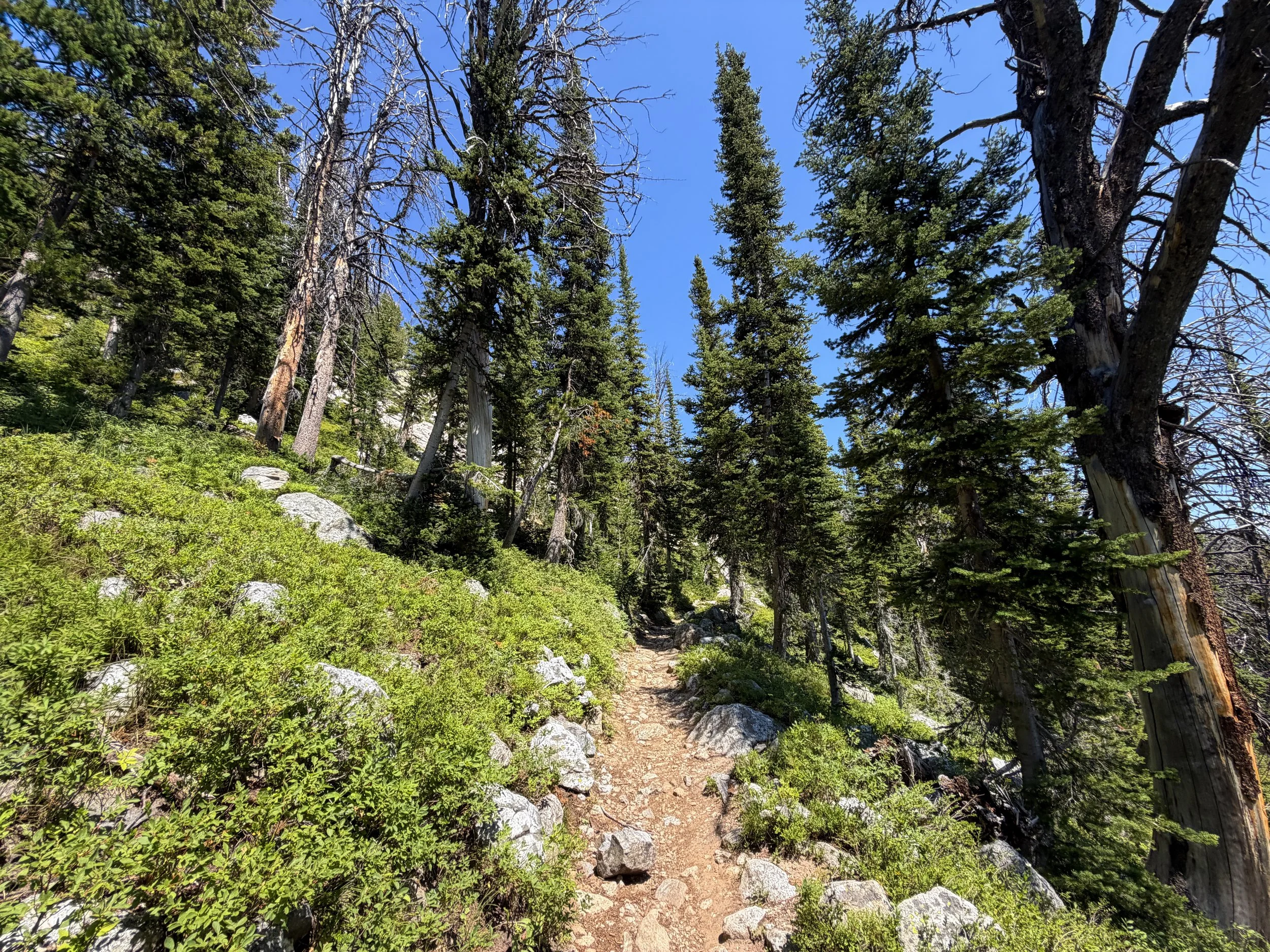 Surprise and Amphitheater Lakes Trail Grand Teton National Park Wyoming