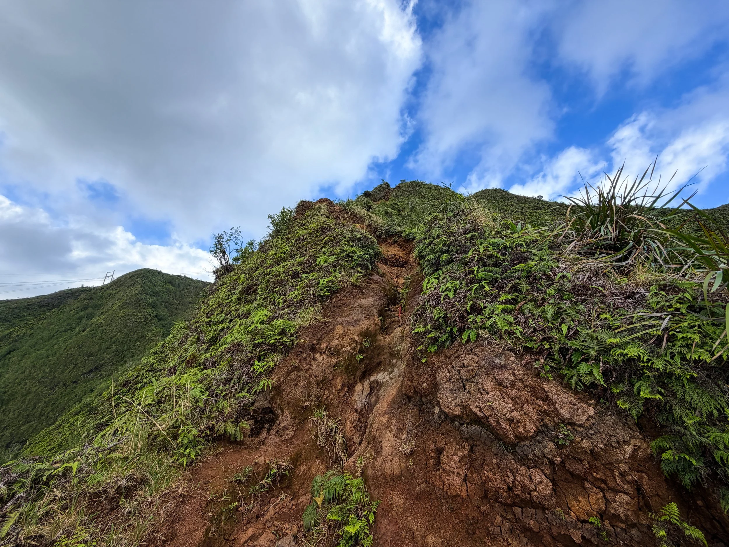 Kaau Crater Trail Oahu Hawaii