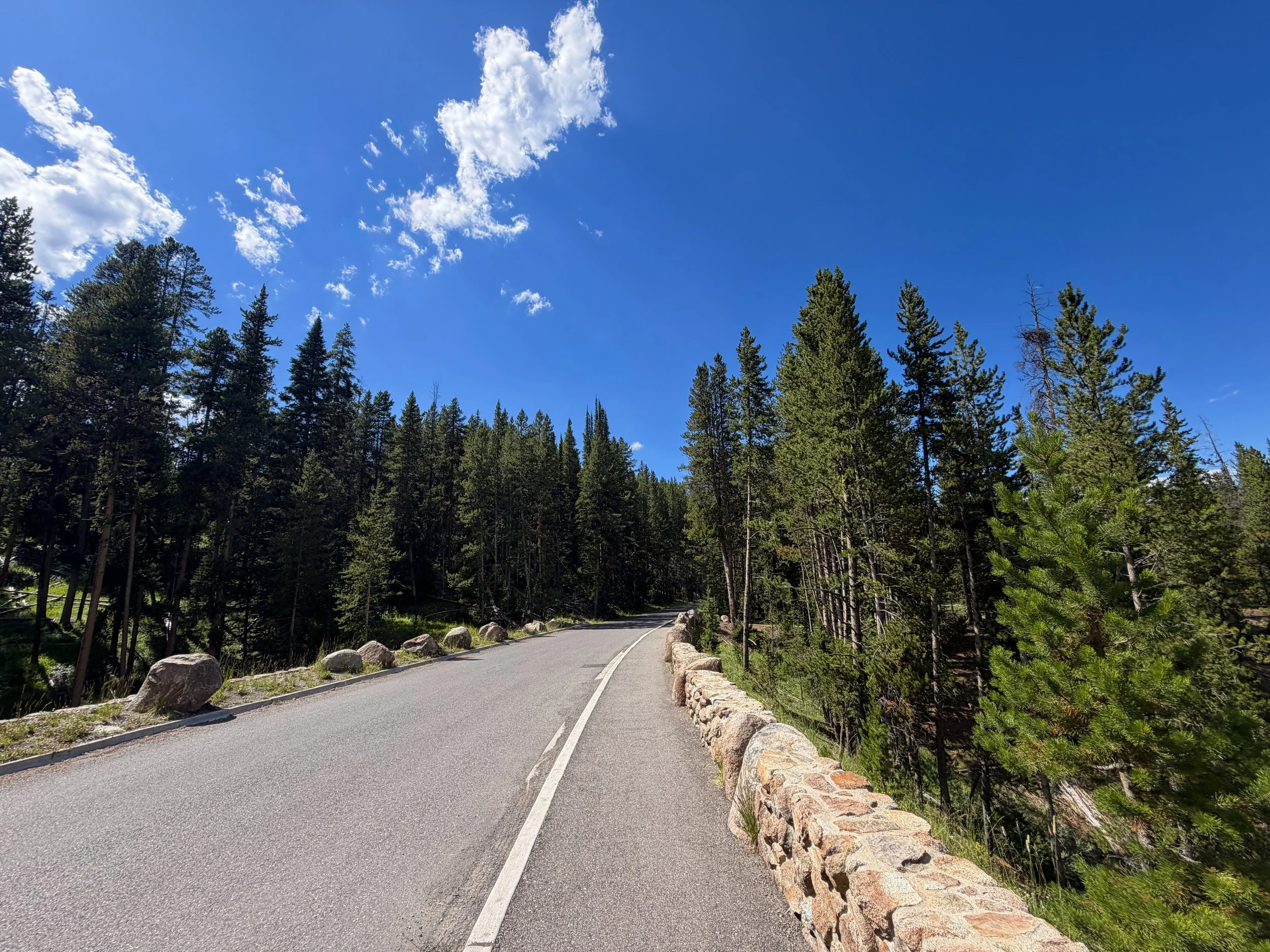North Rim Trail Yellowstone National Park Wyoming