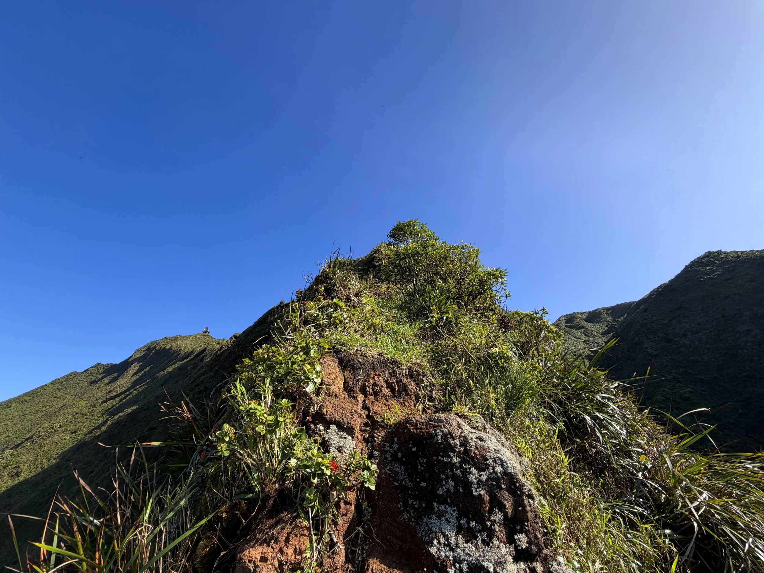Moanalua Saddle to Stairway to Heaven KST Oahu Hawaii
