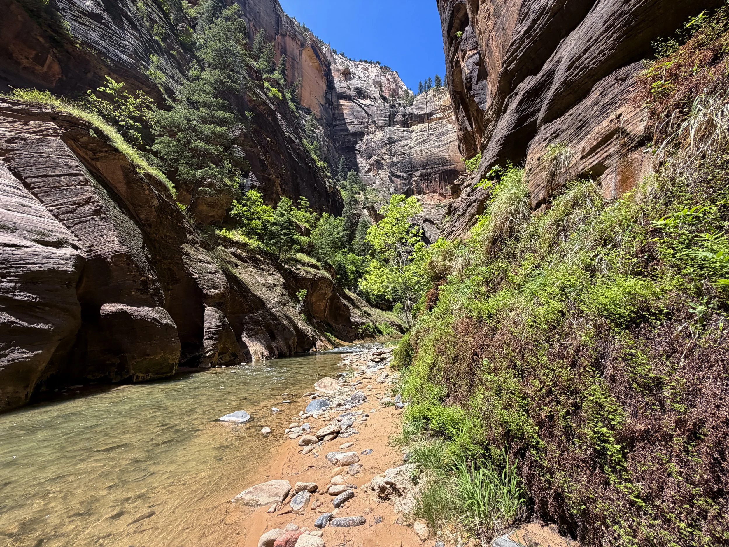 Narrows Hike Zion National Park Utah