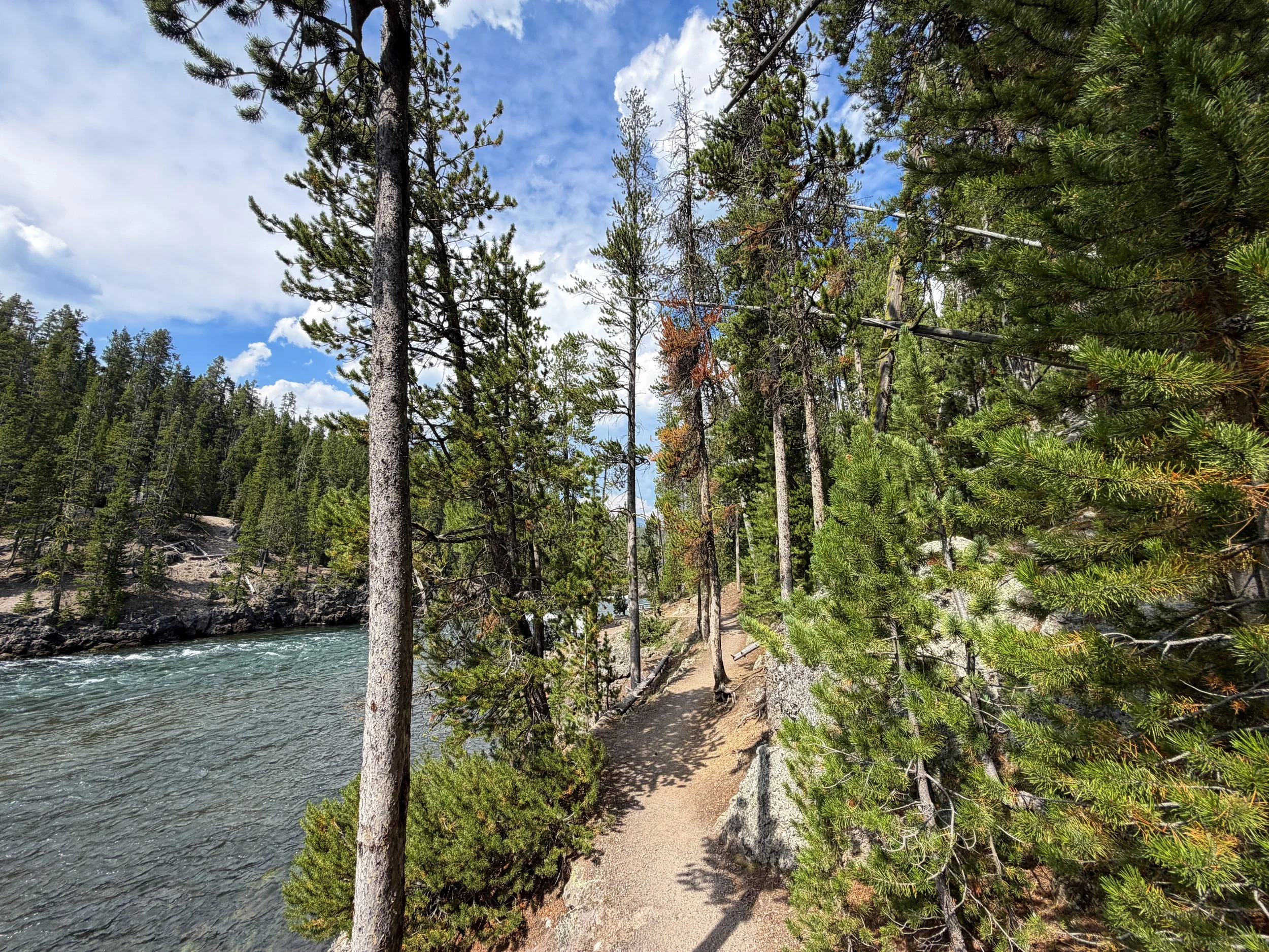 South Rim Trail Yellowstone National Park Wyoming
