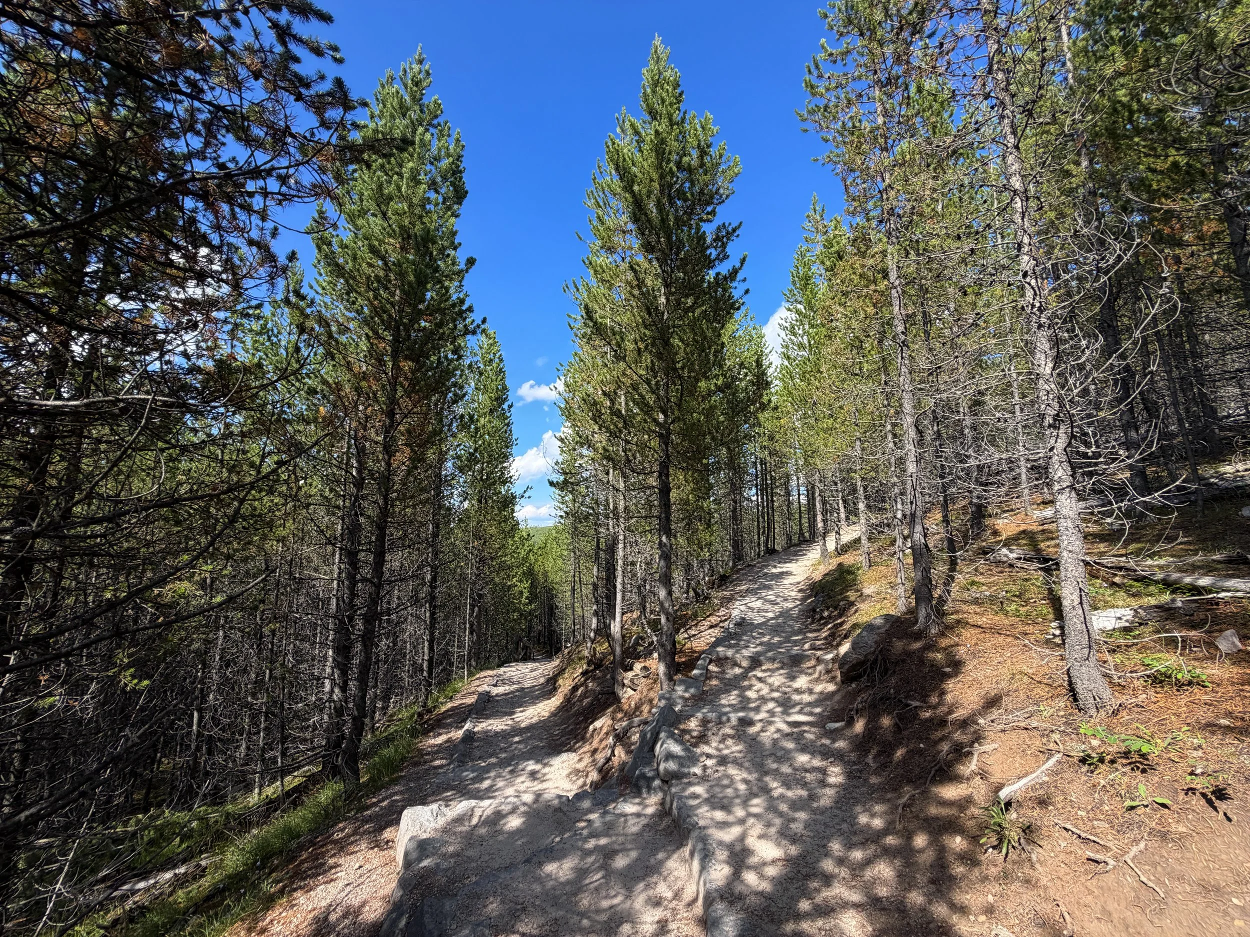Artists Paintpots Trail Yellowstone National Park Wyoming