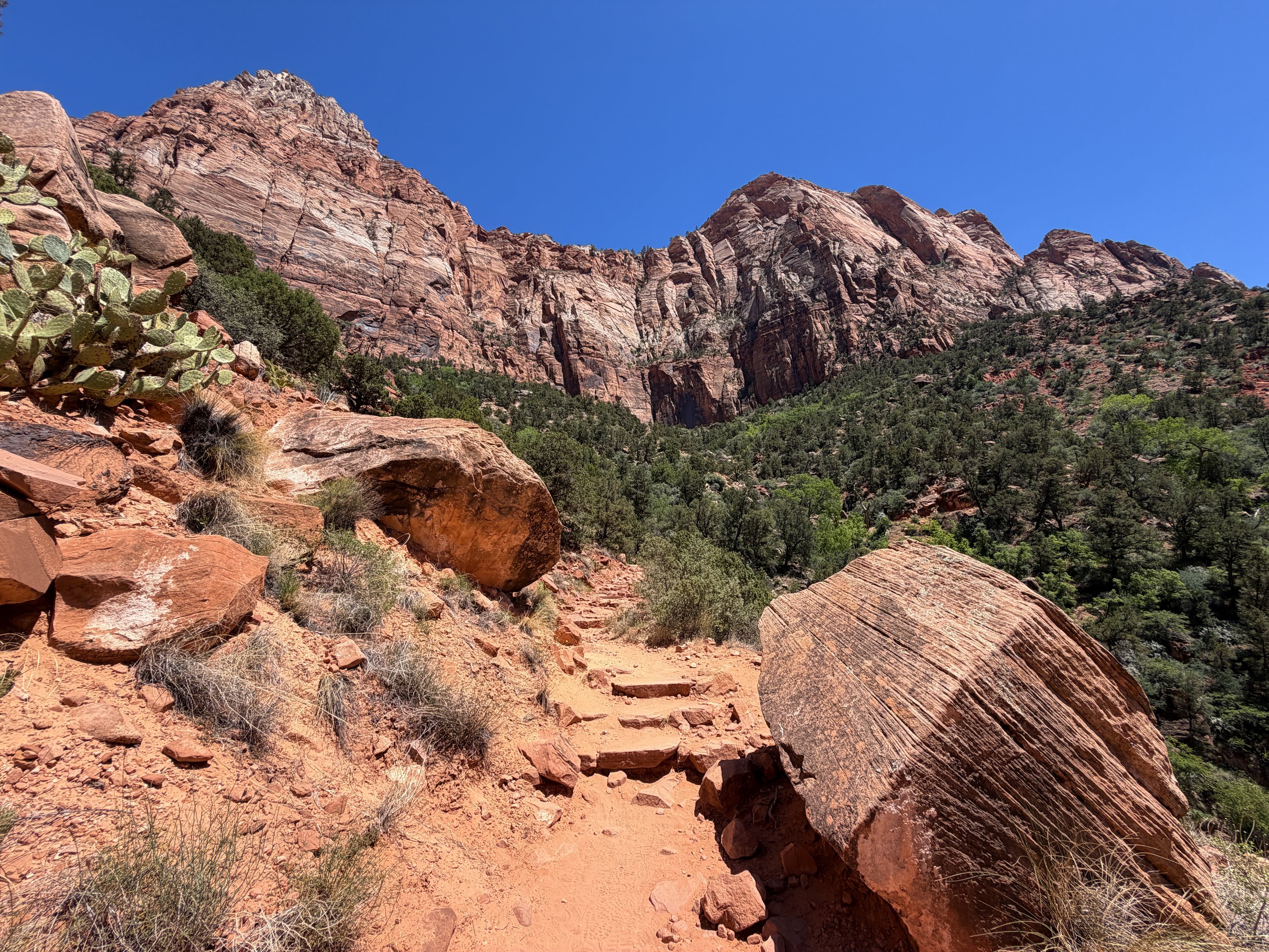 Watchman Trail Zion National Park Utah