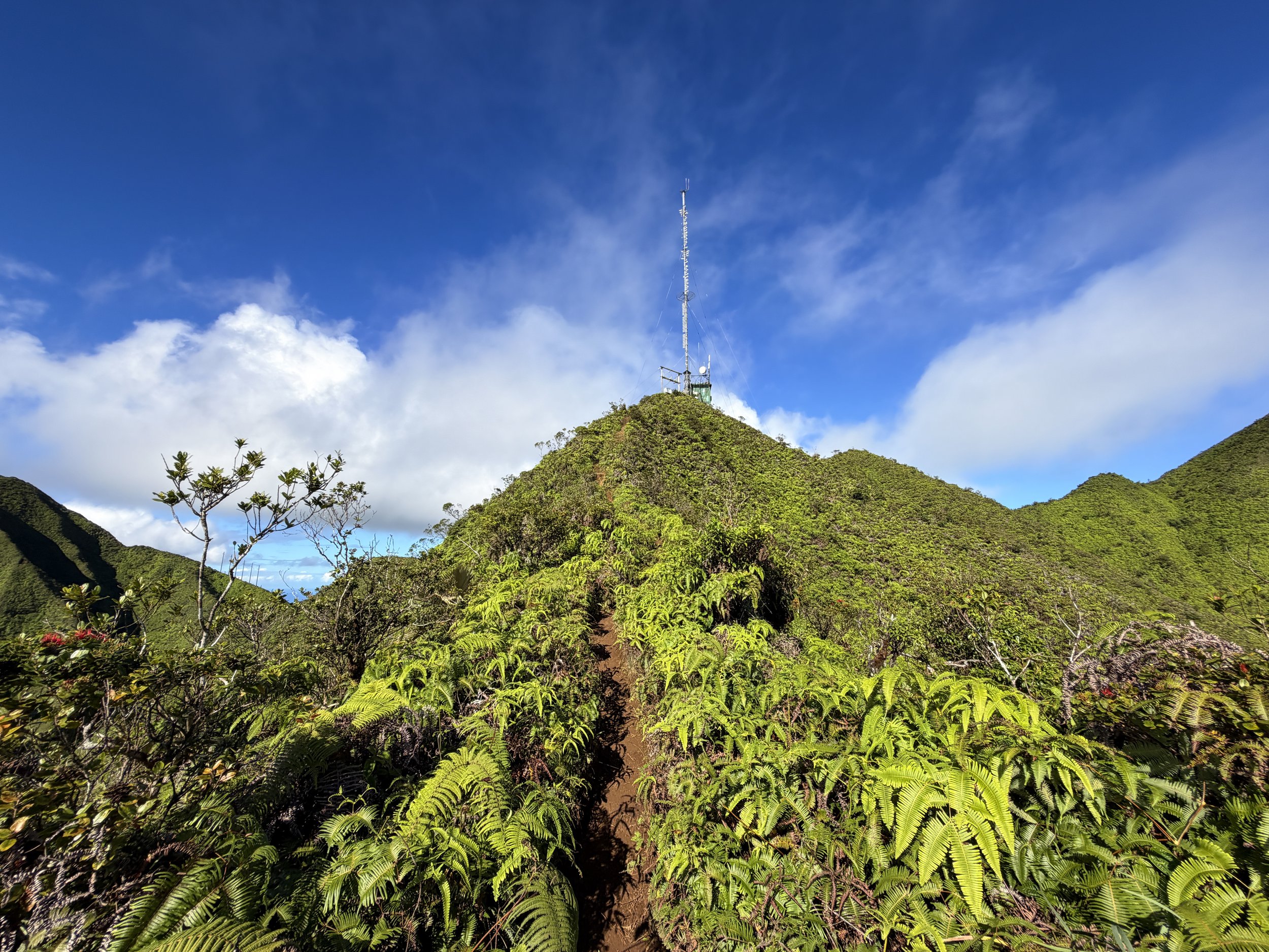 Wiliwilinui Ridge Trail Stairs Oahu Hawaii
