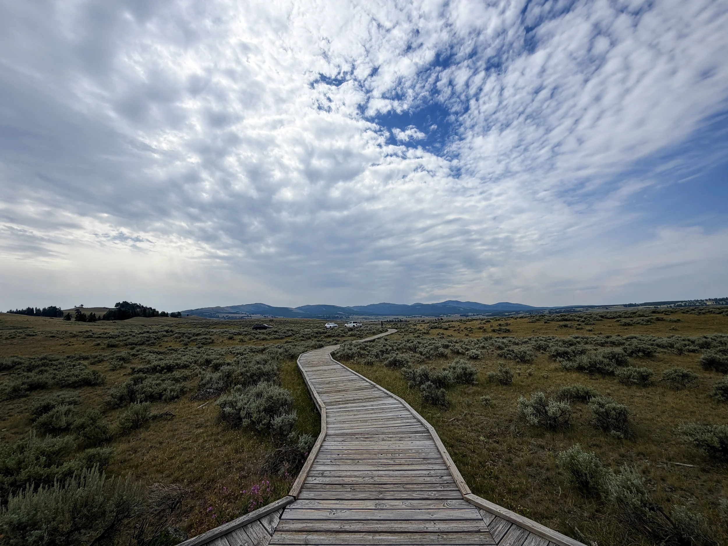 Forces of the Northern Range Trail Yellowstone National Park Wyoming