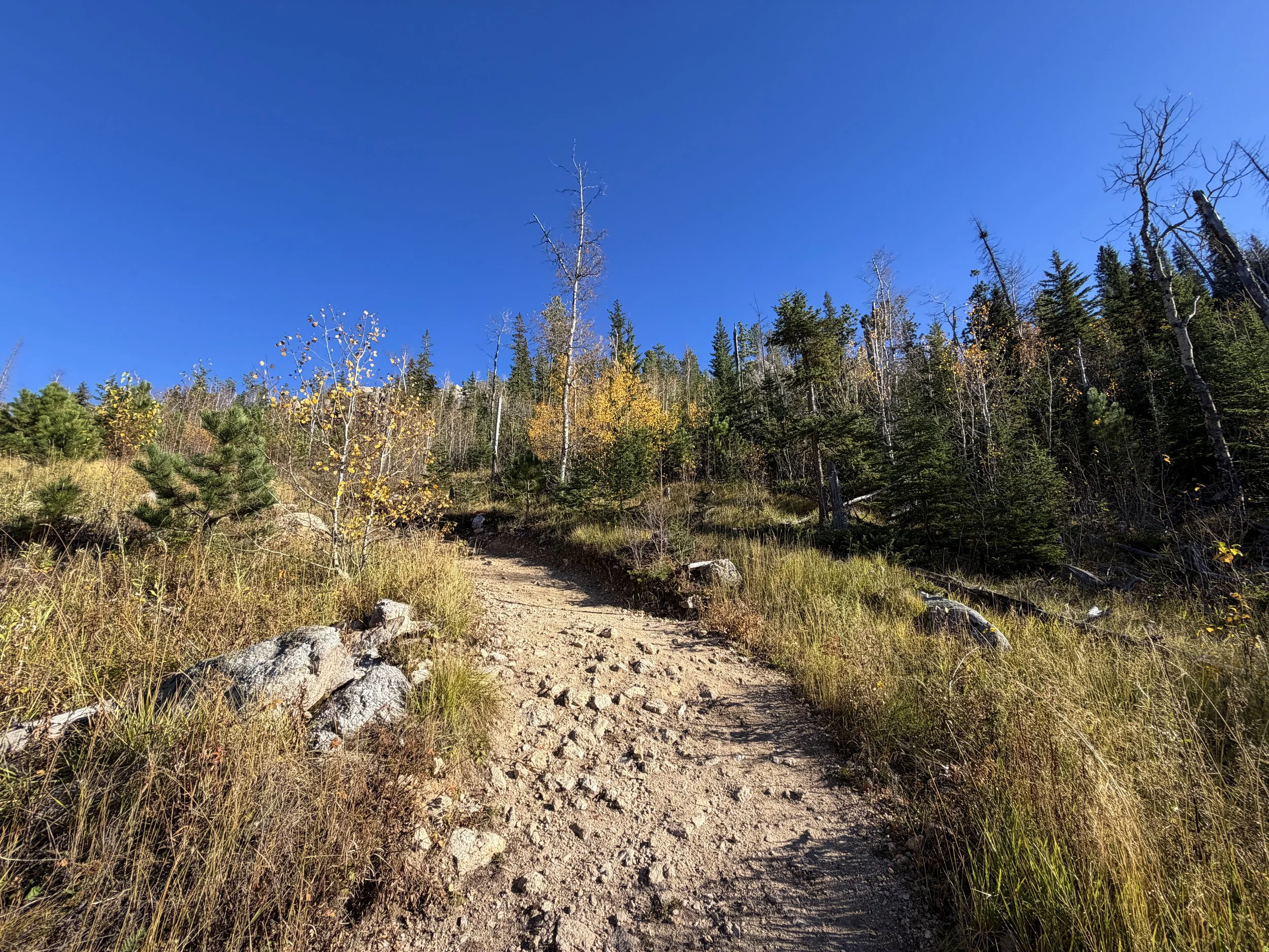 Little Devils Tower Trail Custer State Park Black Hills South Dakota