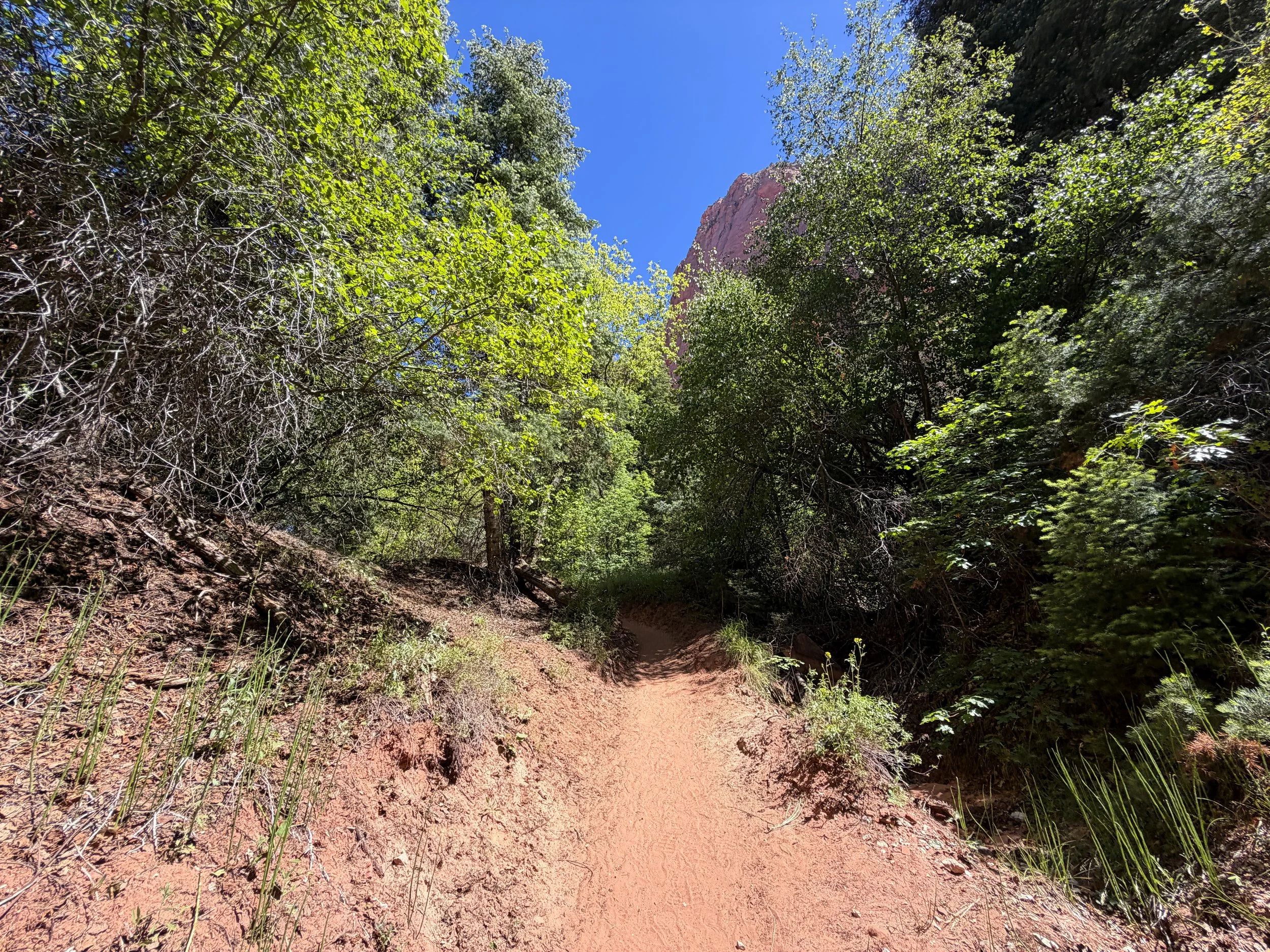 Taylor Creek Trail Zion National Park Utah