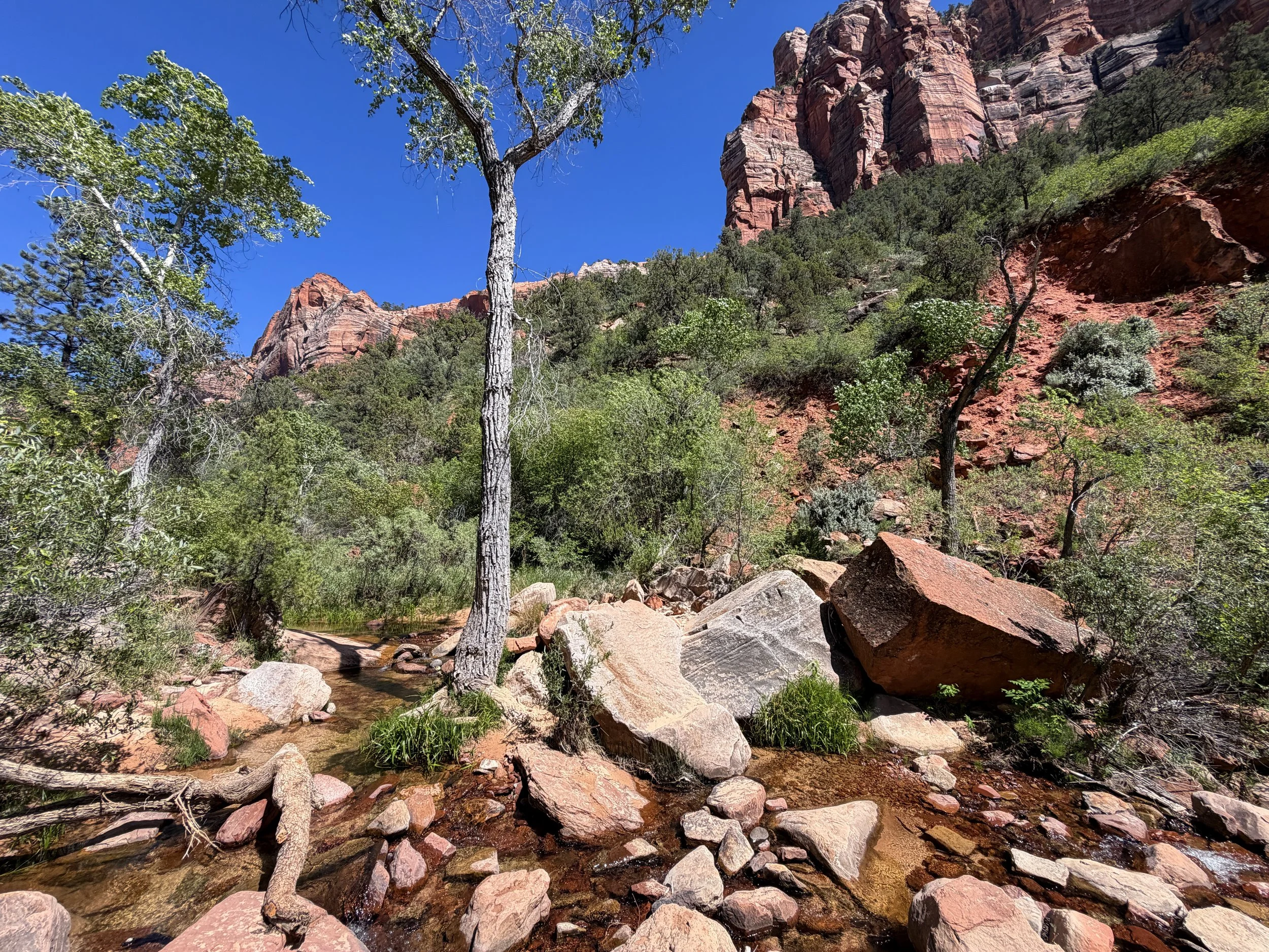 Subway Trail Left Fork North Creek Zion National Park Utah