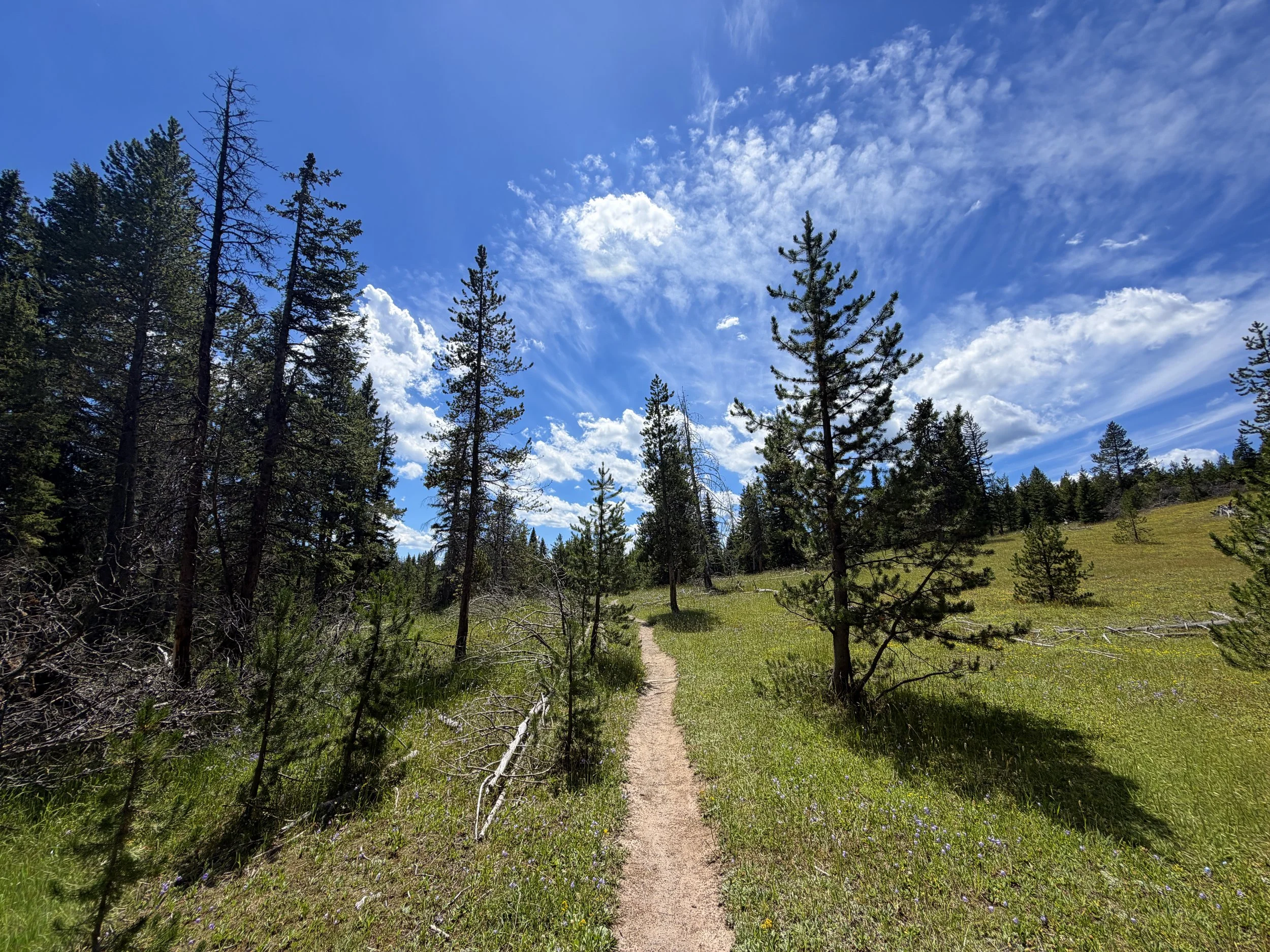 West Thumb Overlook Trail Yellowstone National Park Wyoming