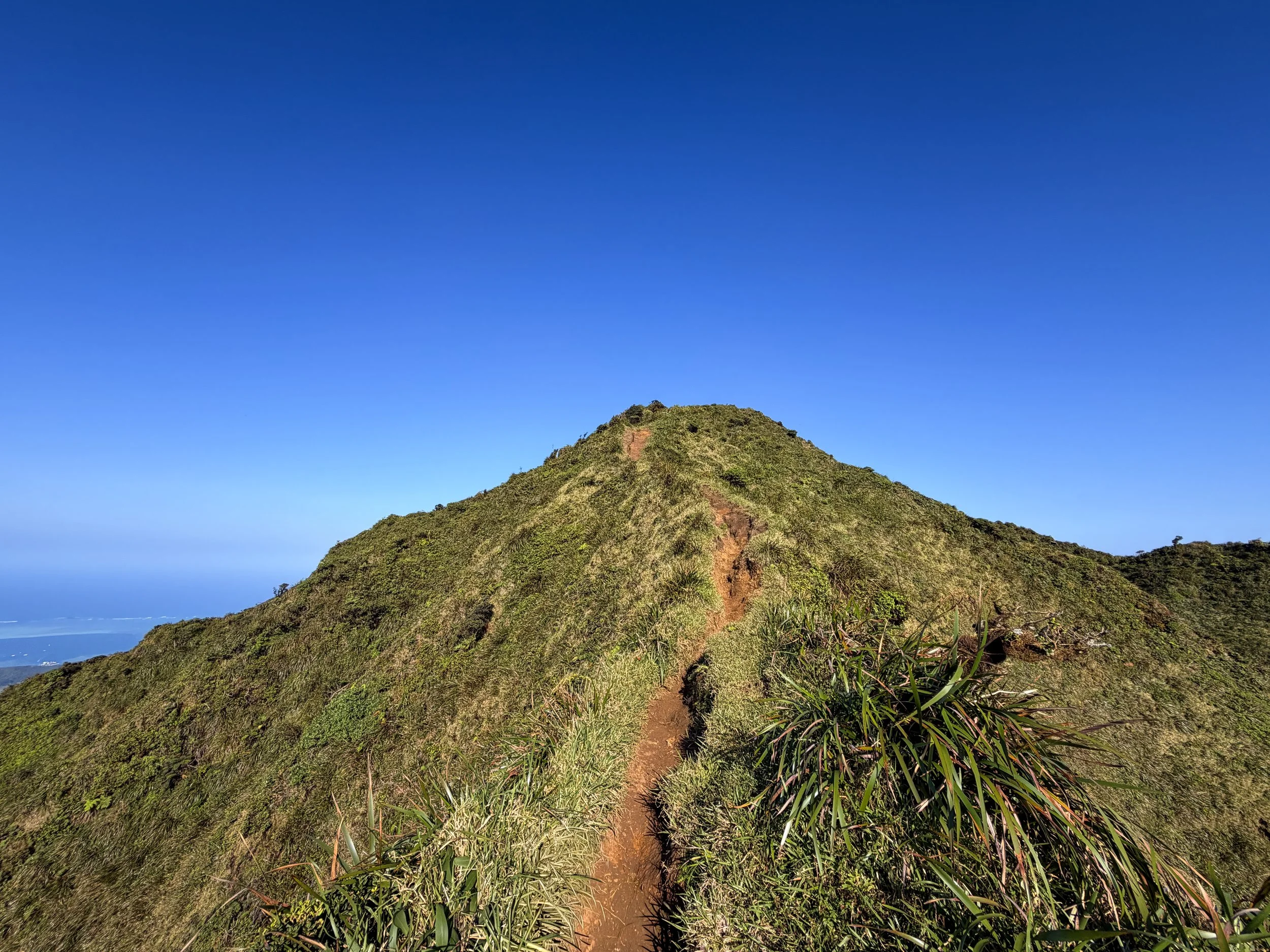 Moanalua Middle Ridge Trail to Stairway to Heaven Oahu Hawaii