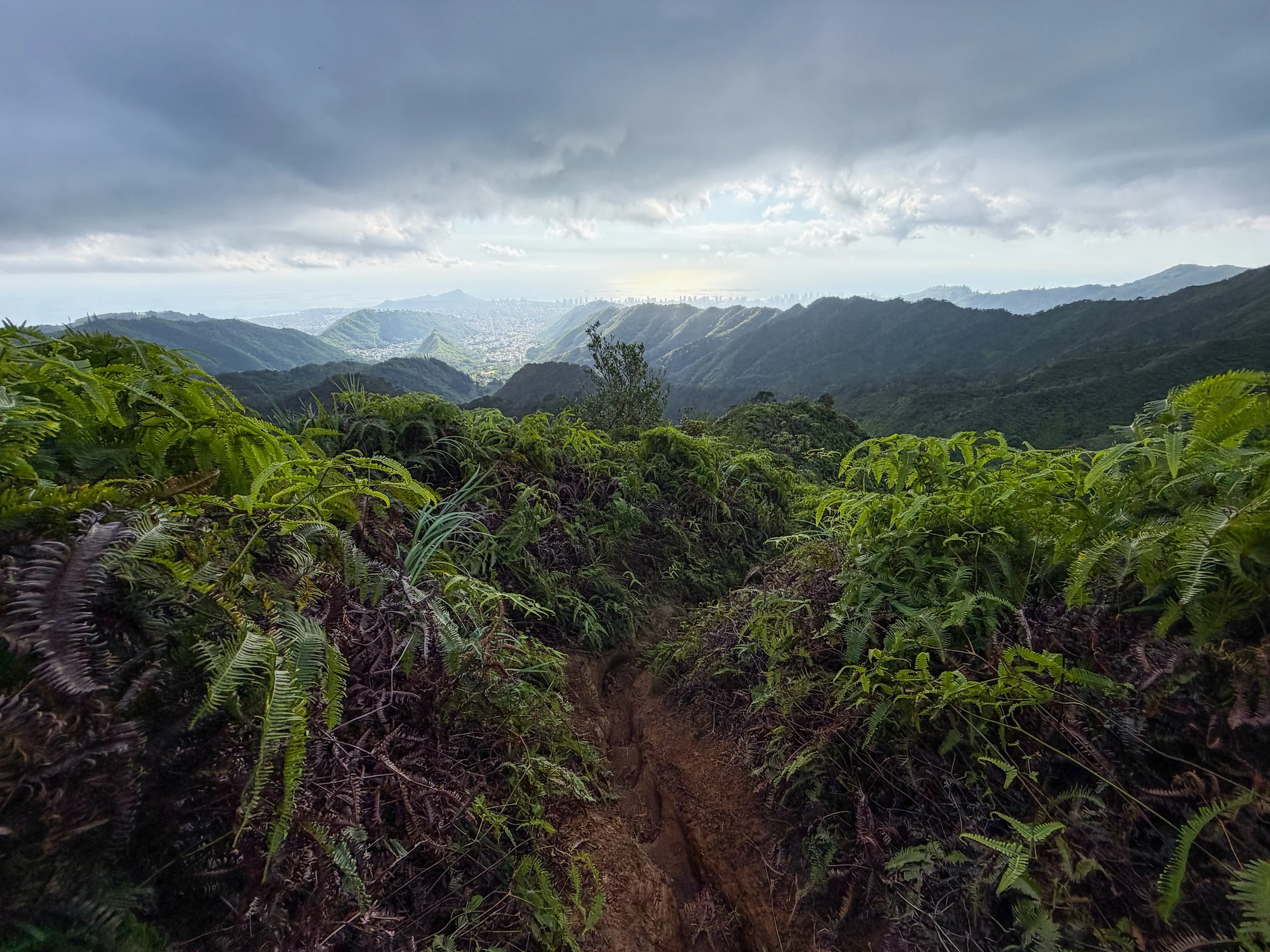 Kaau Crater Loop Trail Oahu Hawaii