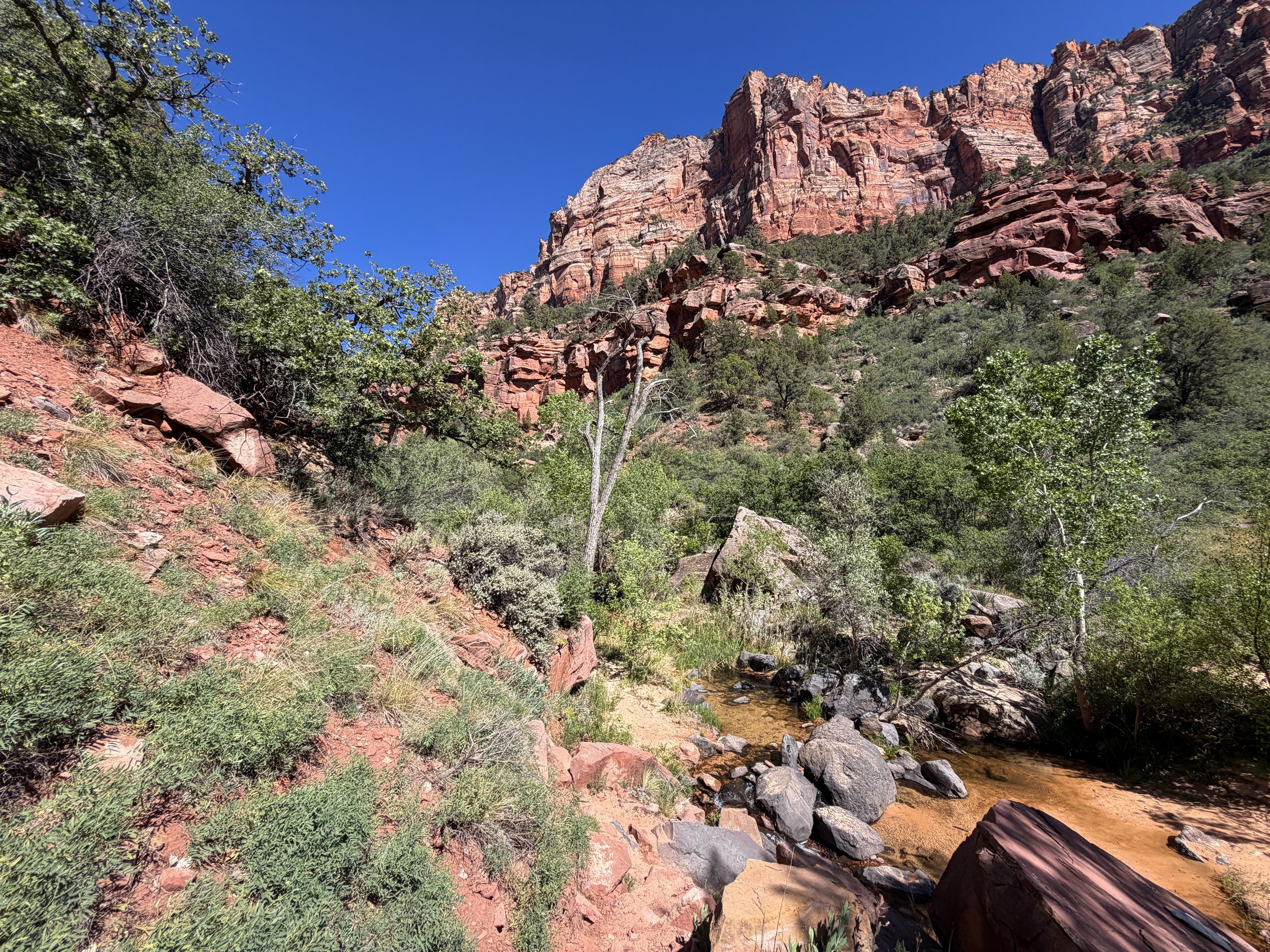 Subway Trail via Left Fork Trailhead Zion National Park Utah
