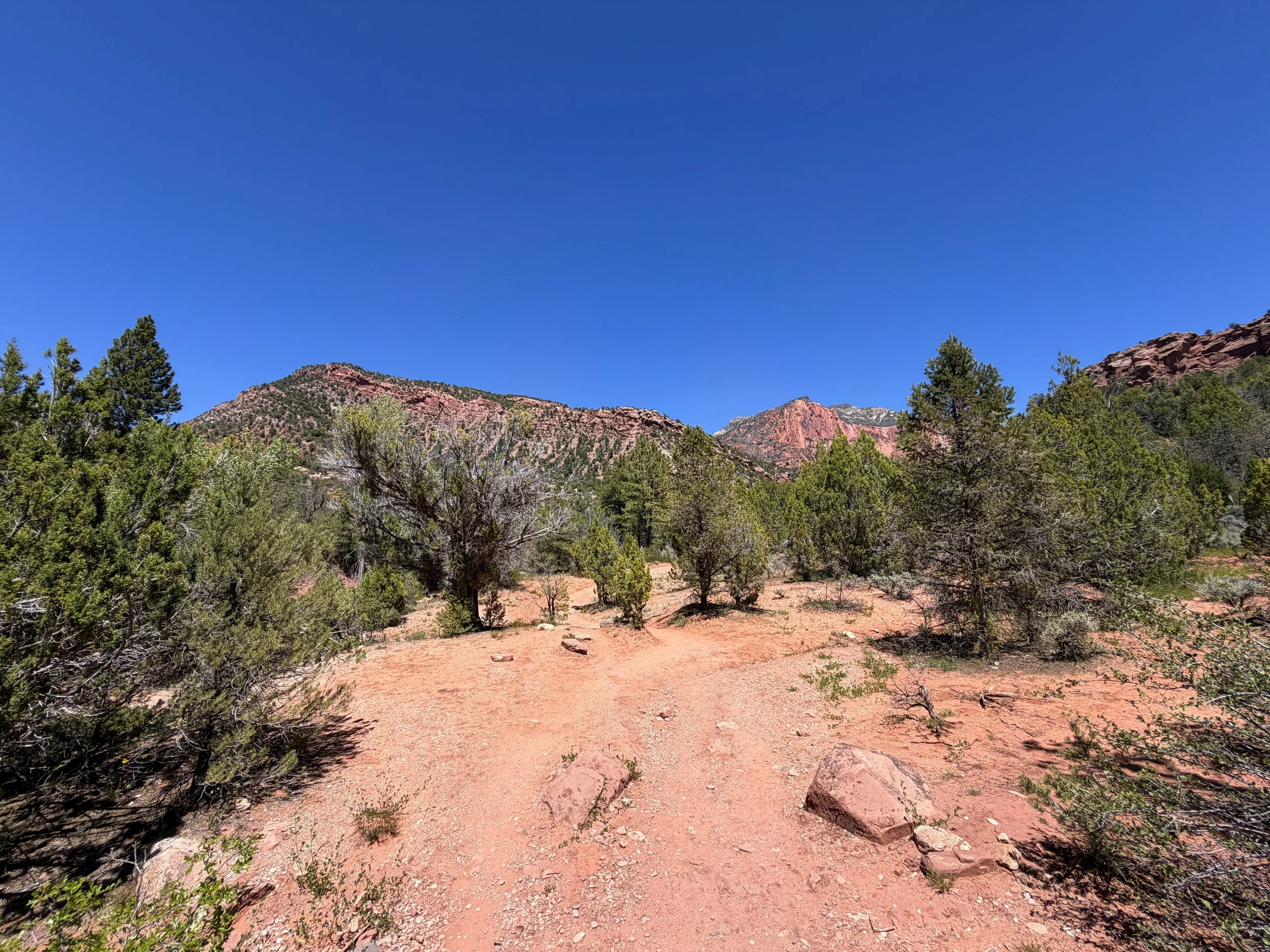 Taylor Creek Trail Zion National Park Utah