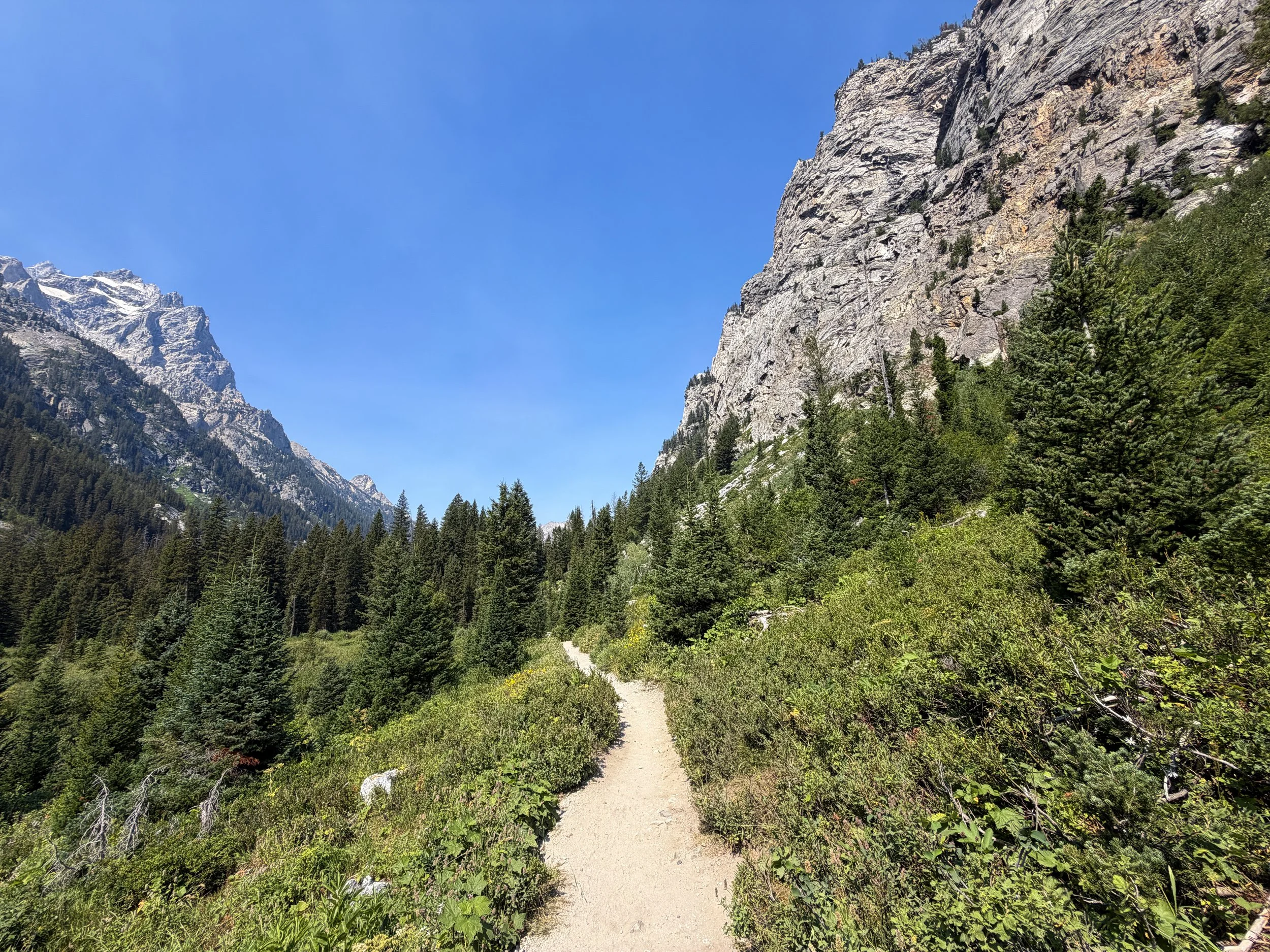 Cascade Canyon Trail via Inspiration Point Grand Teton National Park Wyoming