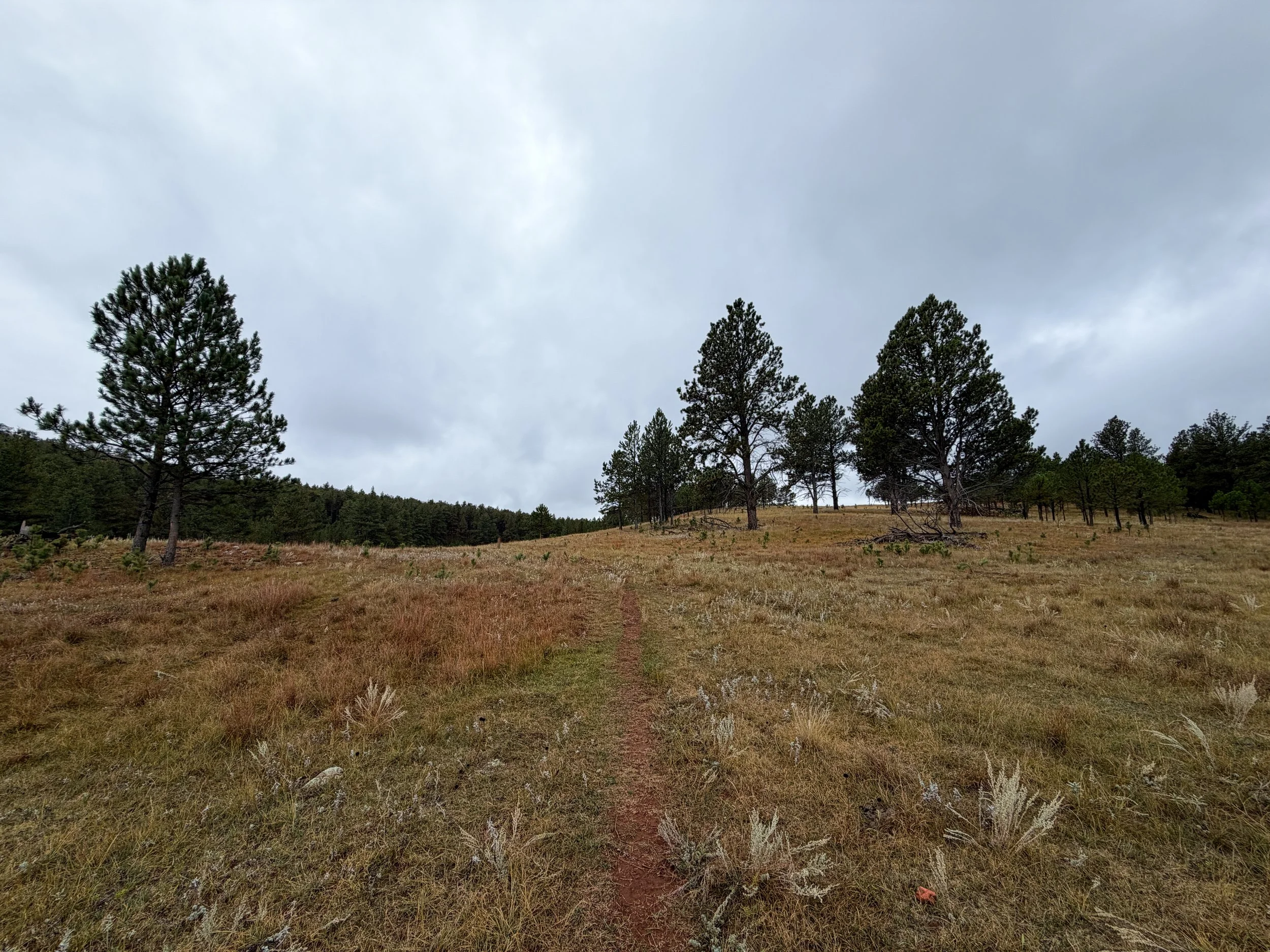 Highland Creek Hike Wind Cave National Park South Dakota