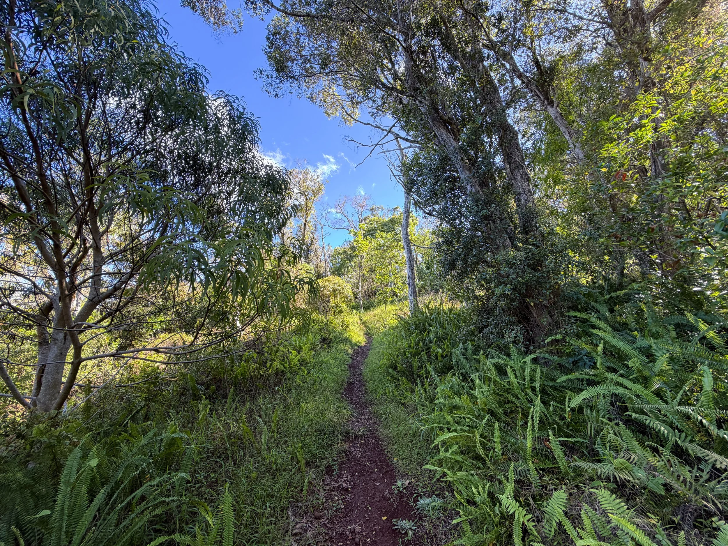 Mokuleia Trail Oahu Hawaii