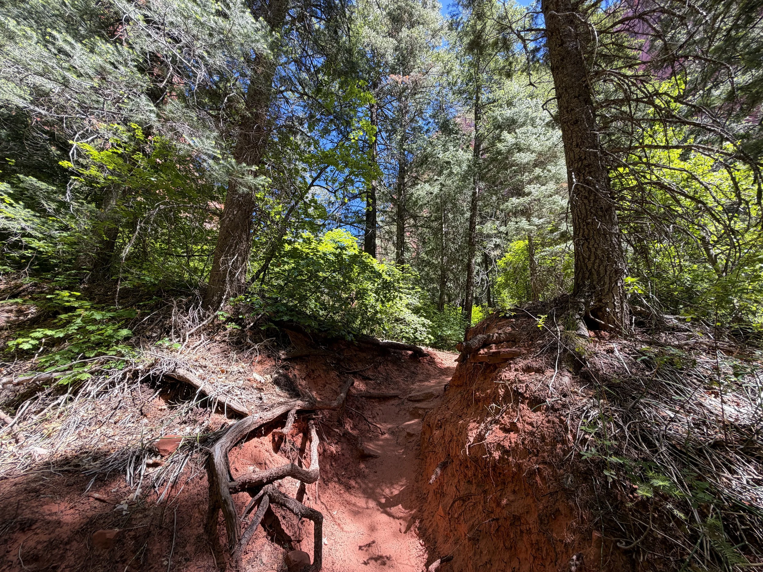 Taylor Creek Hike Zion National Park Utah