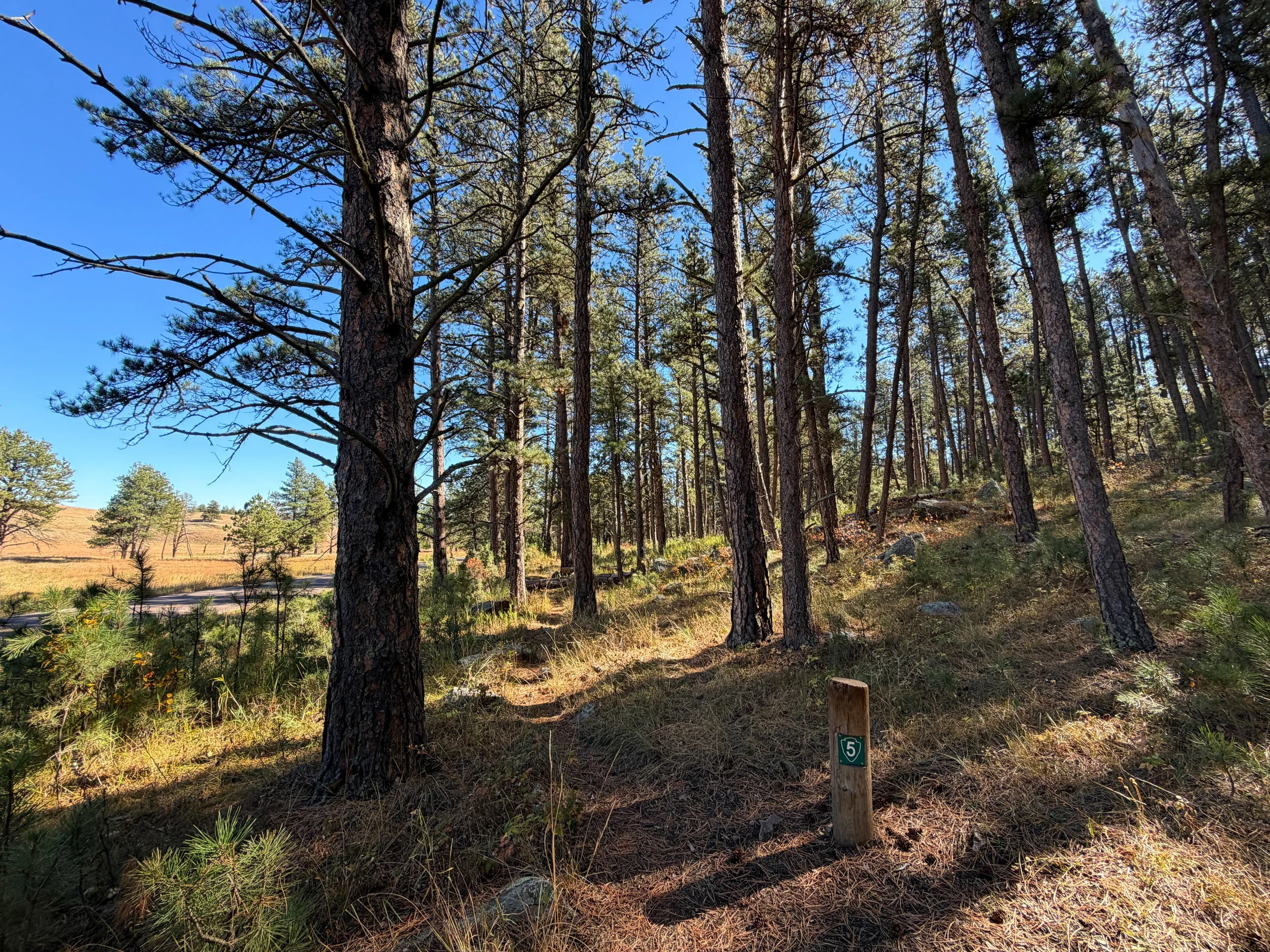 Sanctuary Trail Wind Cave National Park South Dakota
