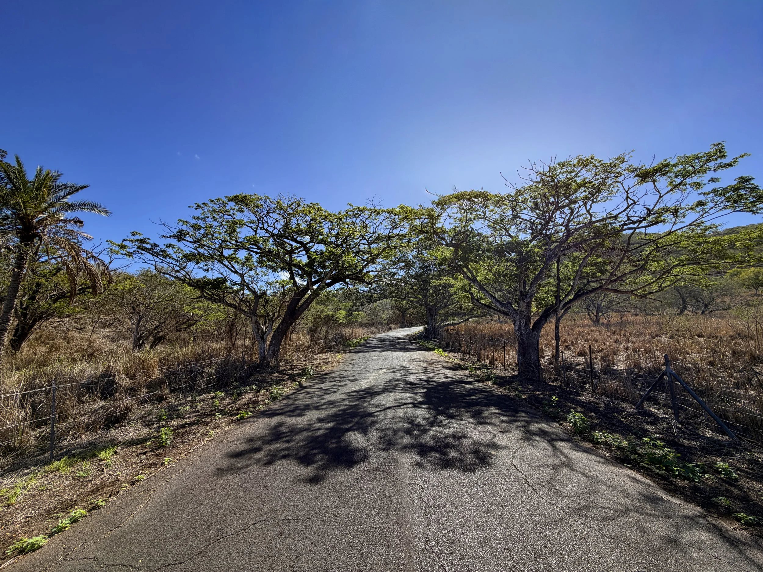 Mokuleia Access Road Trail Oahu Hawaii