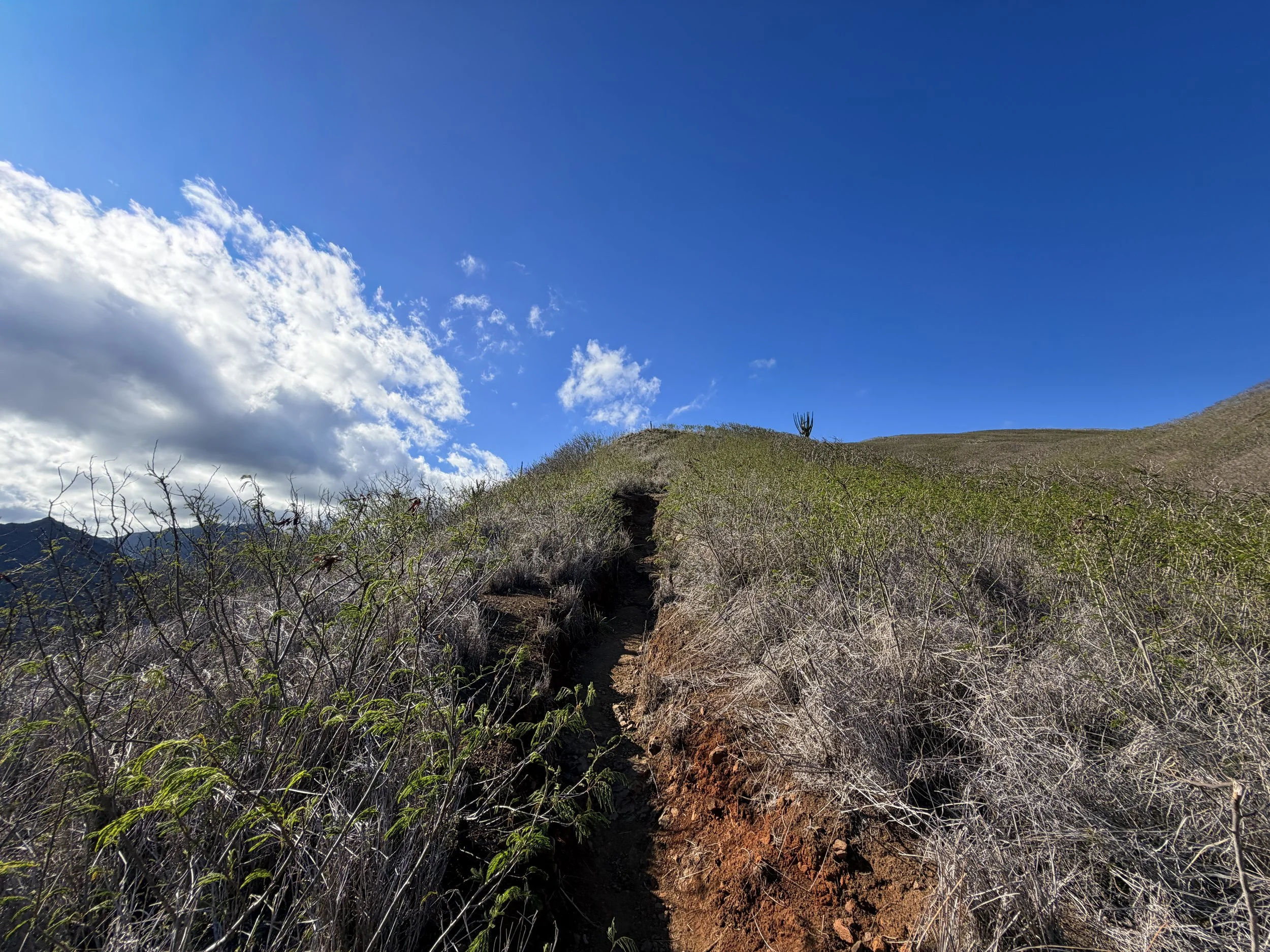 Back Way Lanikai Pillbox Hike Oahu Hawaii