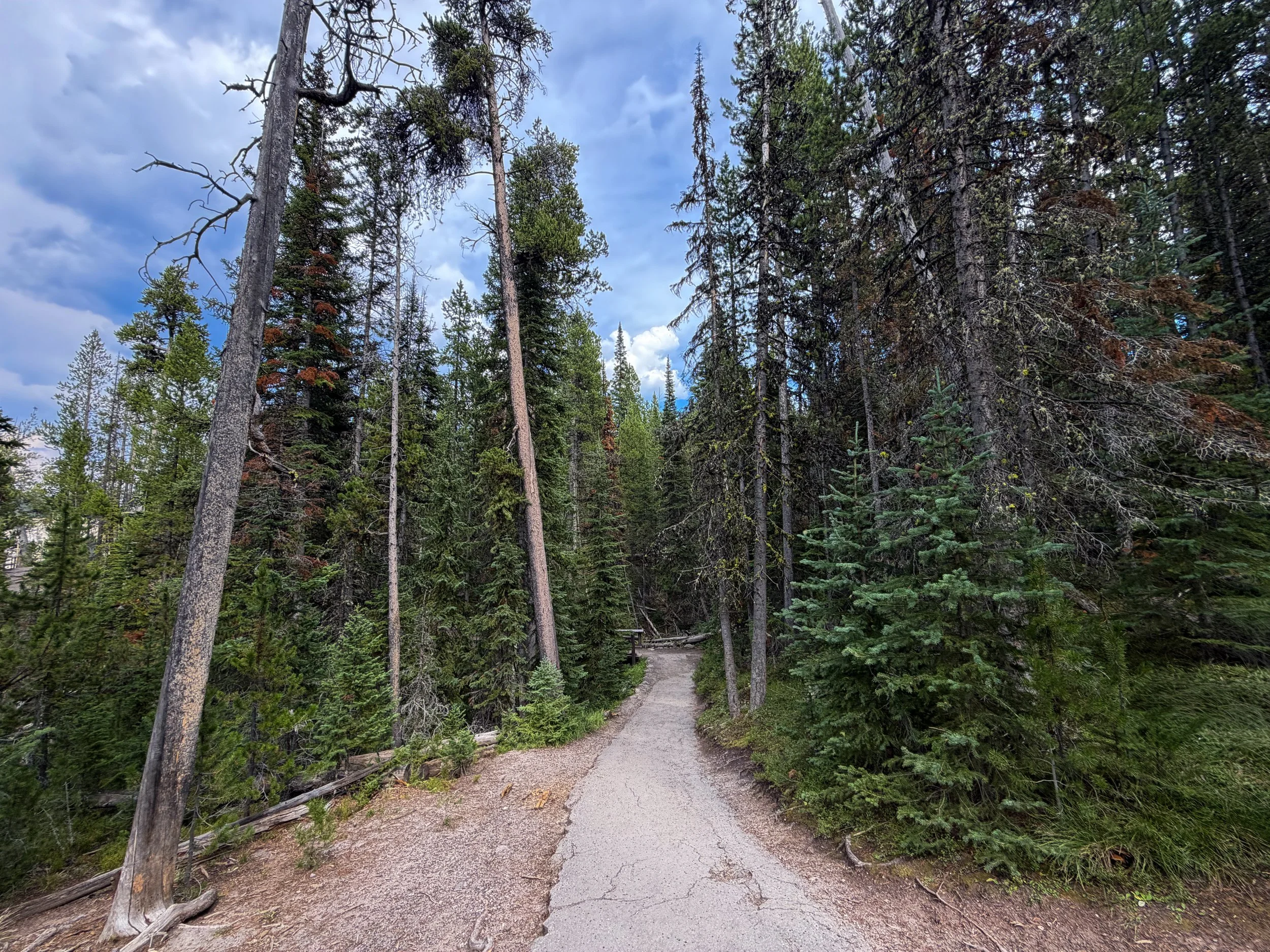 South Rim Trail Yellowstone National Park Wyoming