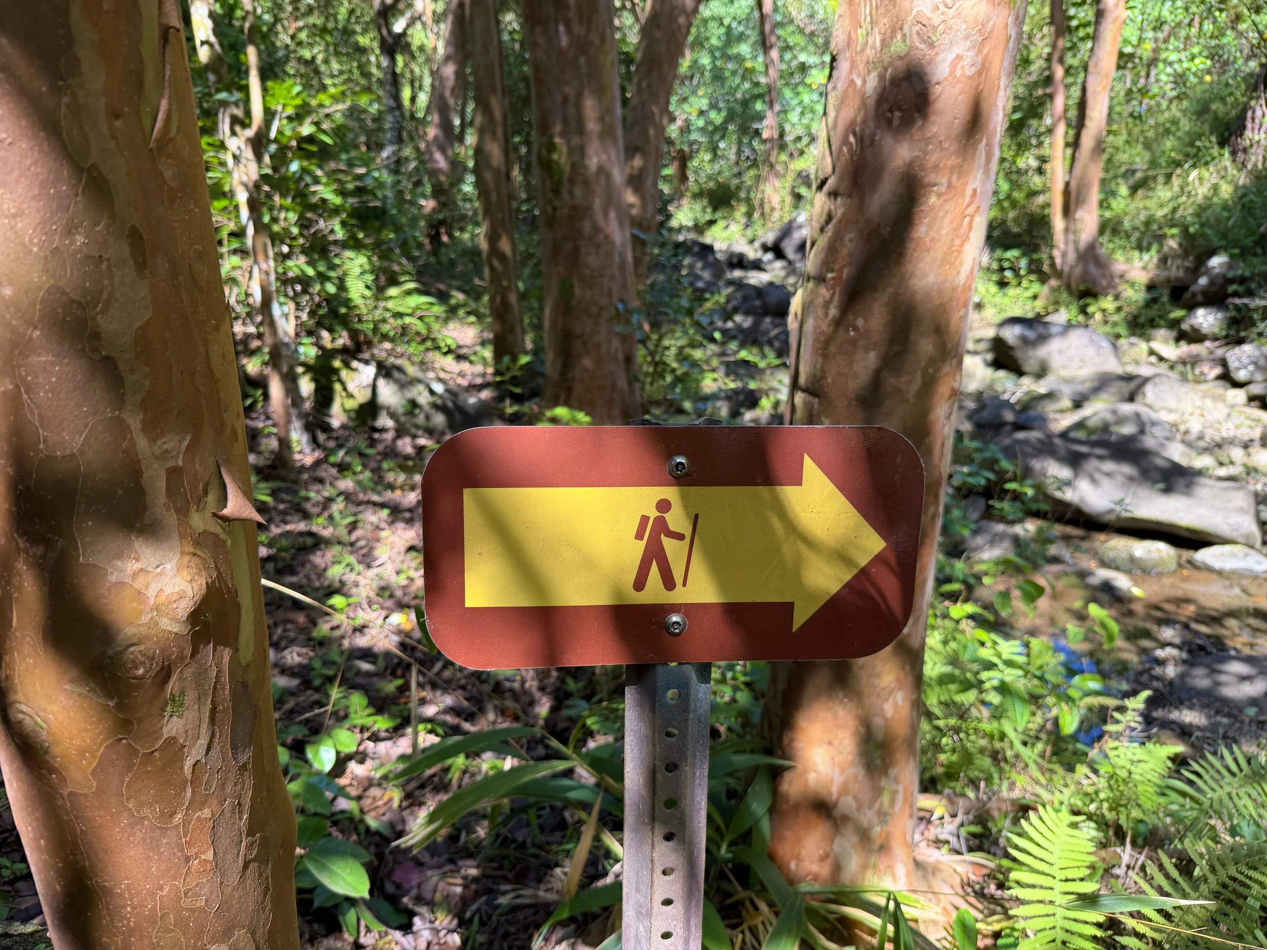 Kulanaahane Hike Oahu Hawaii