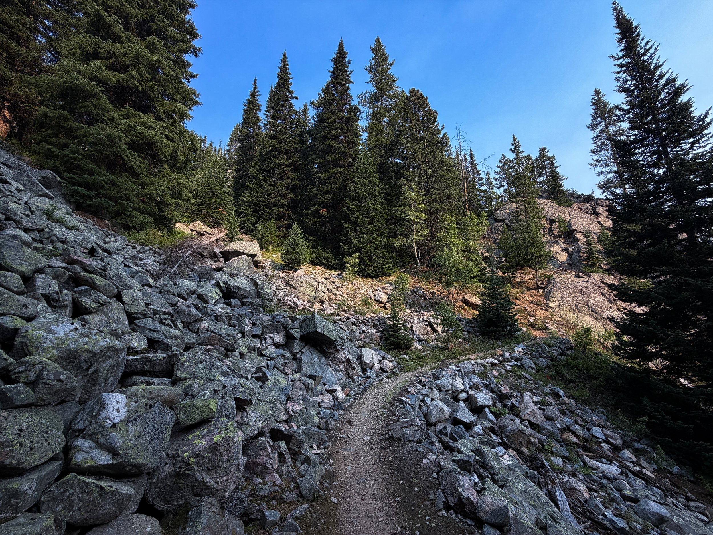 Beaten Path Trail Beartooth Mountains Montana