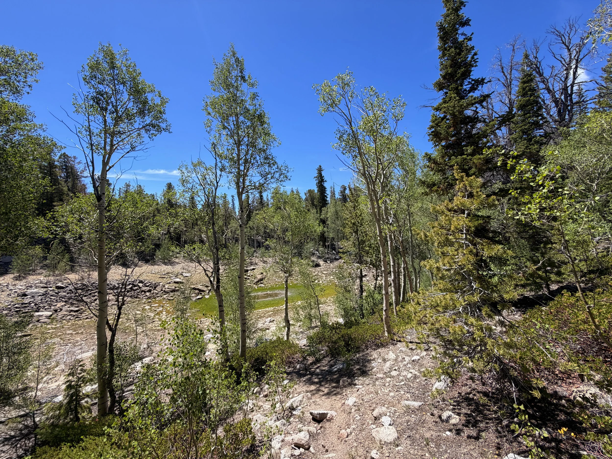 Dead Lake Great Basin National Park Nevada