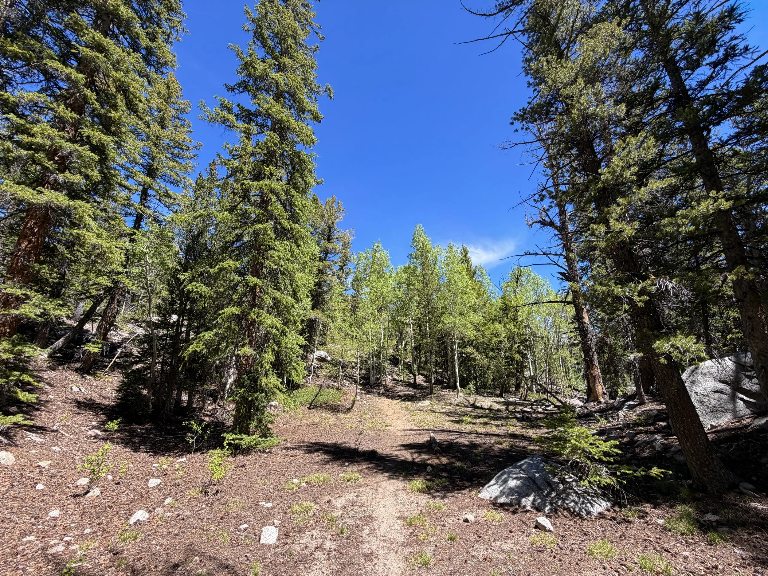 Dead Lake Trail Great Basin National Park Nevada