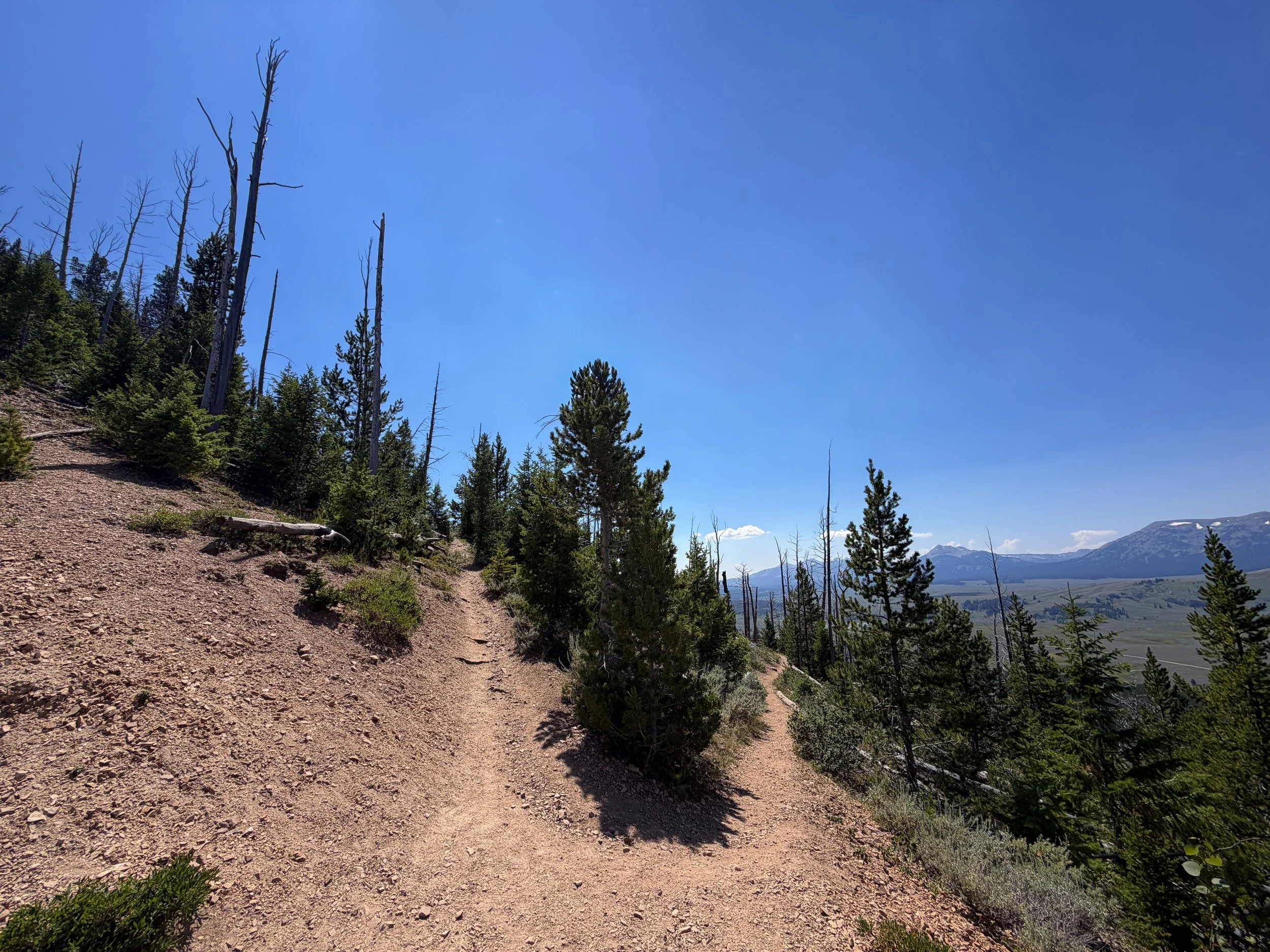 Bunsen Peak Hike Yellowstone National Park Wyoming