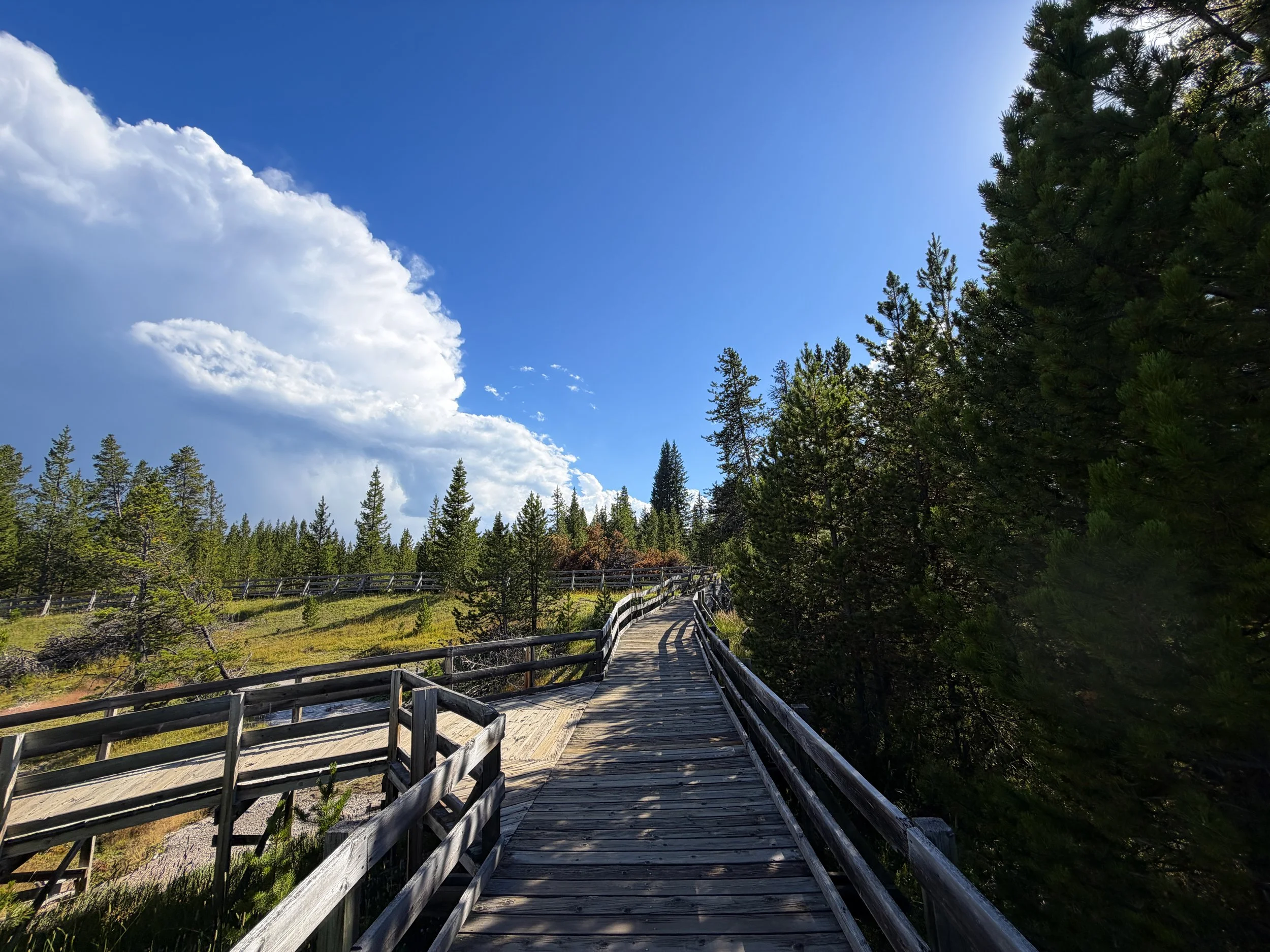 West Thumb Geyser Basin Trail Yellowstone National Park Wyoming